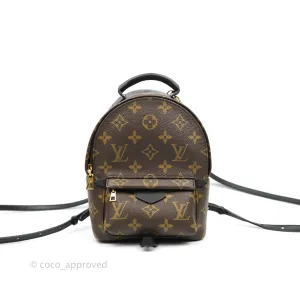 Louis Vuitton Monogram Mini Palm Springs Backpack