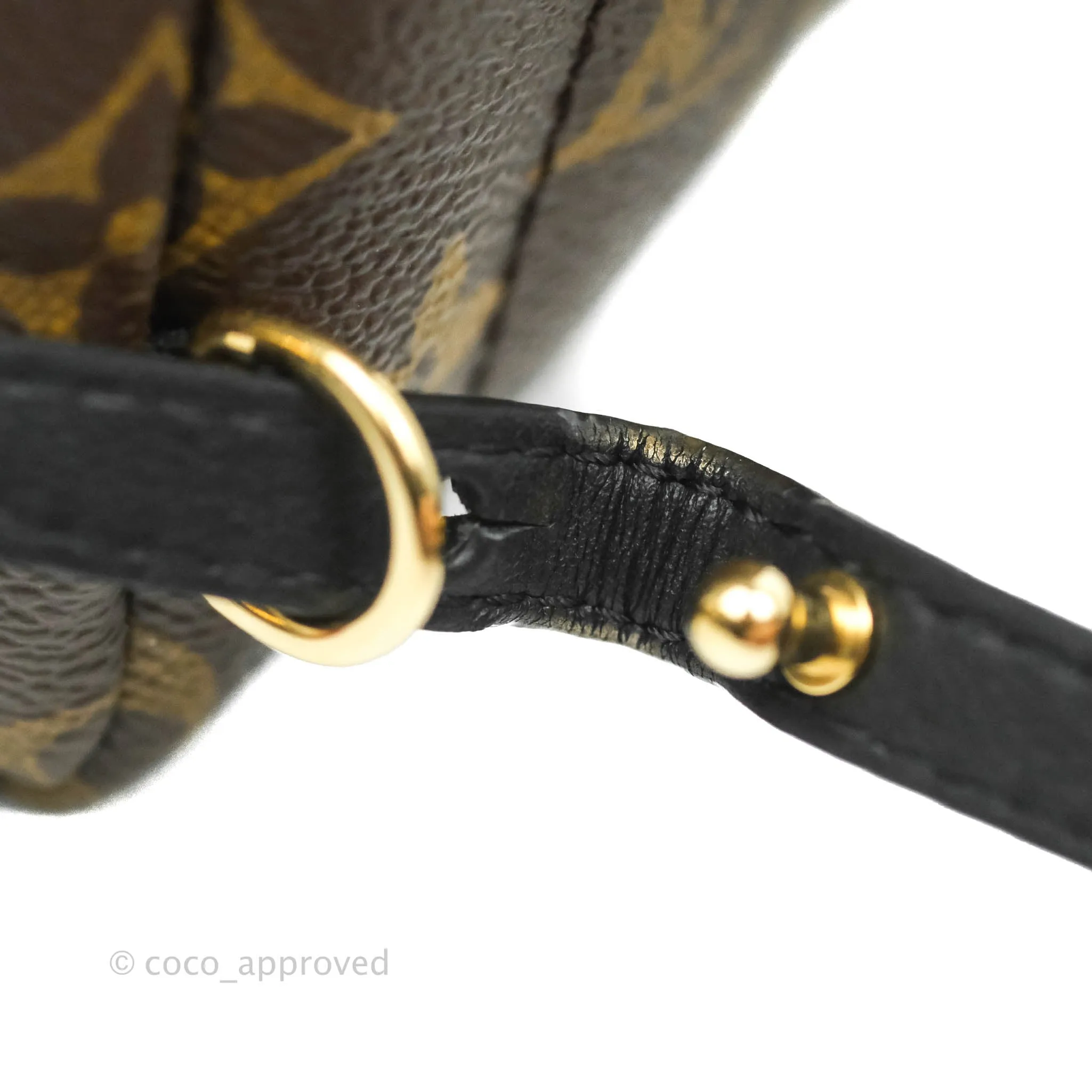 Louis Vuitton Monogram Mini Palm Springs Backpack