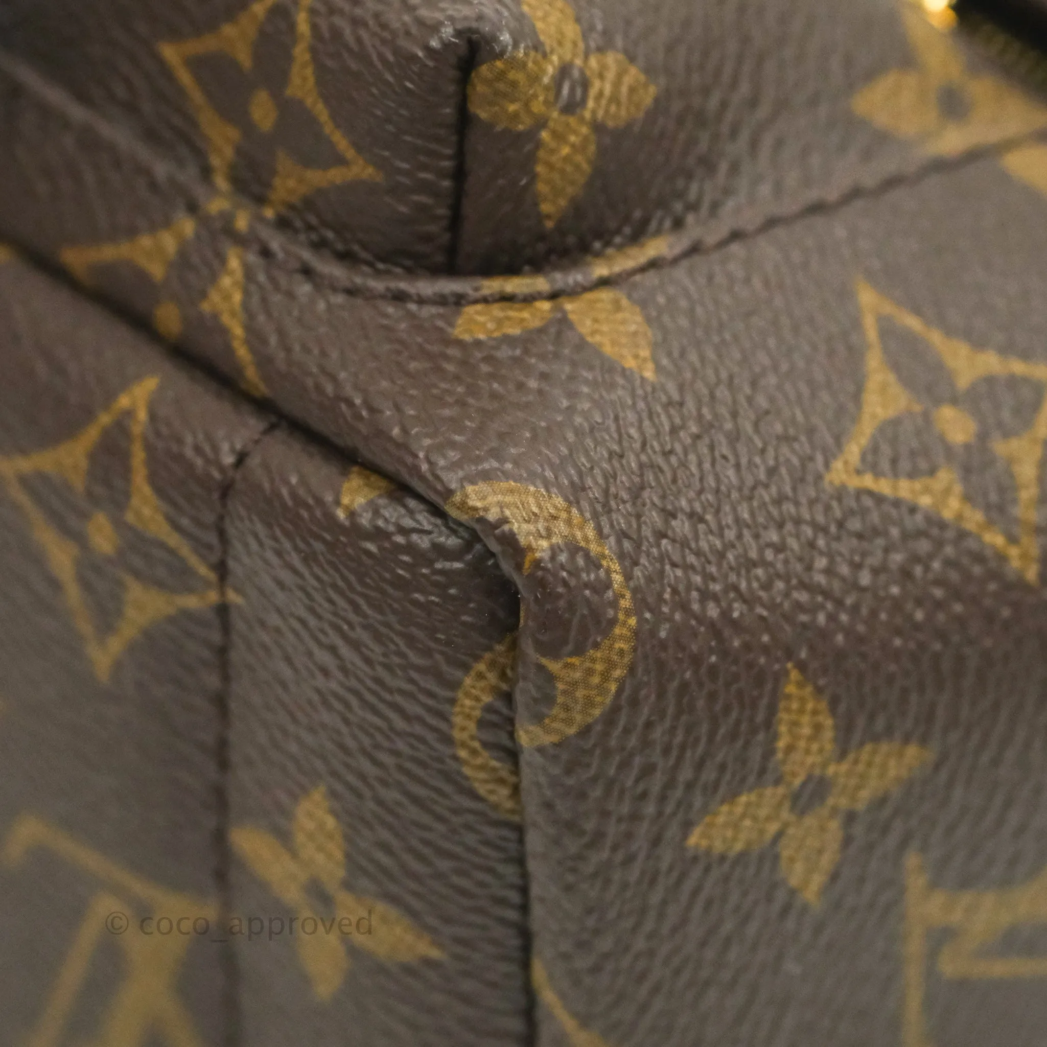 Louis Vuitton Monogram Mini Palm Springs Backpack