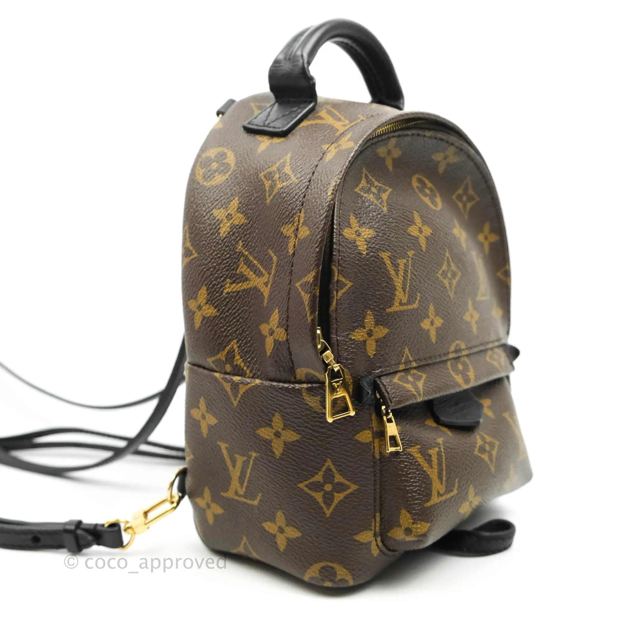 Louis Vuitton Monogram Mini Palm Springs Backpack
