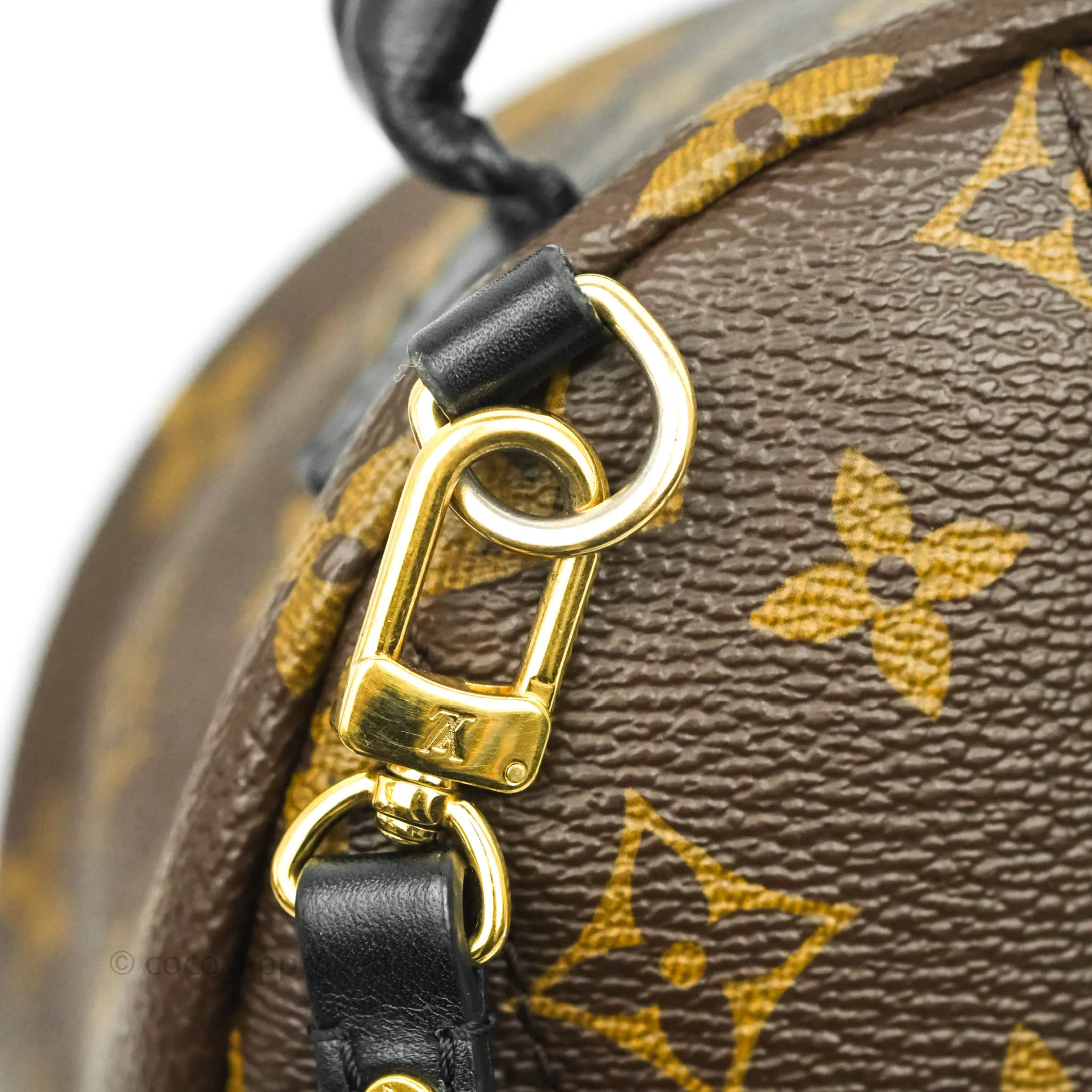 Louis Vuitton Monogram Mini Palm Springs Backpack