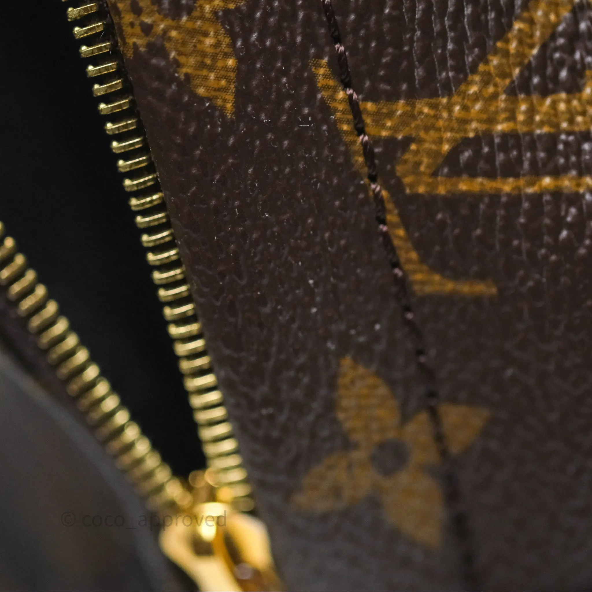 Louis Vuitton Monogram Mini Palm Springs Backpack