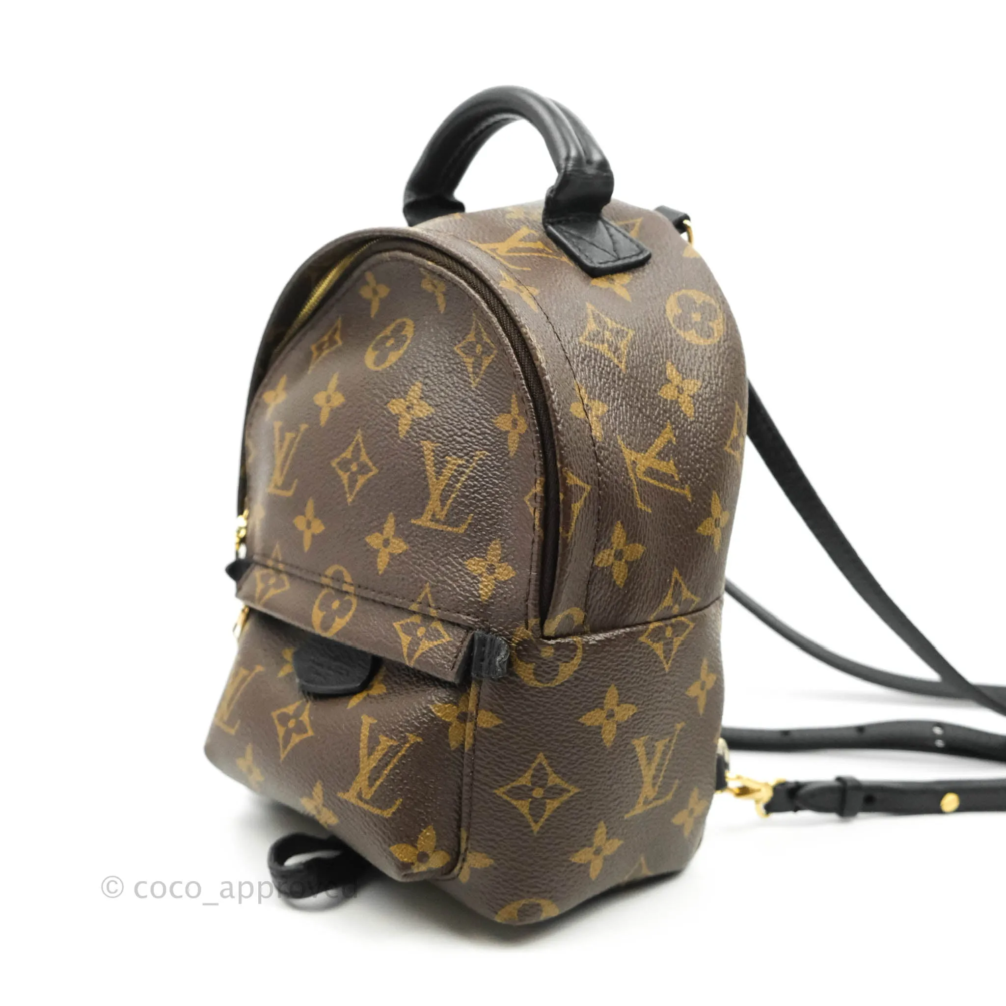 Louis Vuitton Monogram Mini Palm Springs Backpack