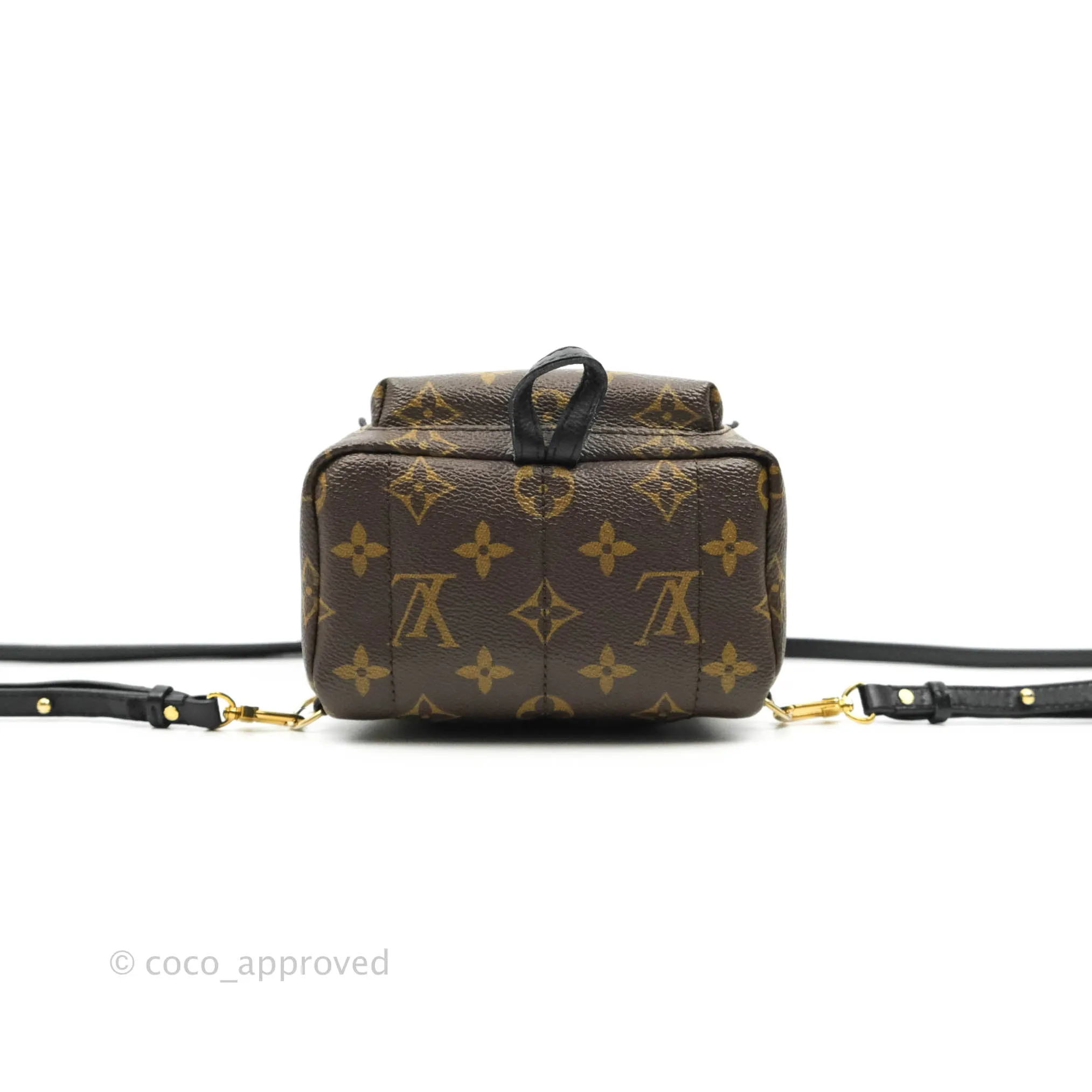 Louis Vuitton Monogram Mini Palm Springs Backpack