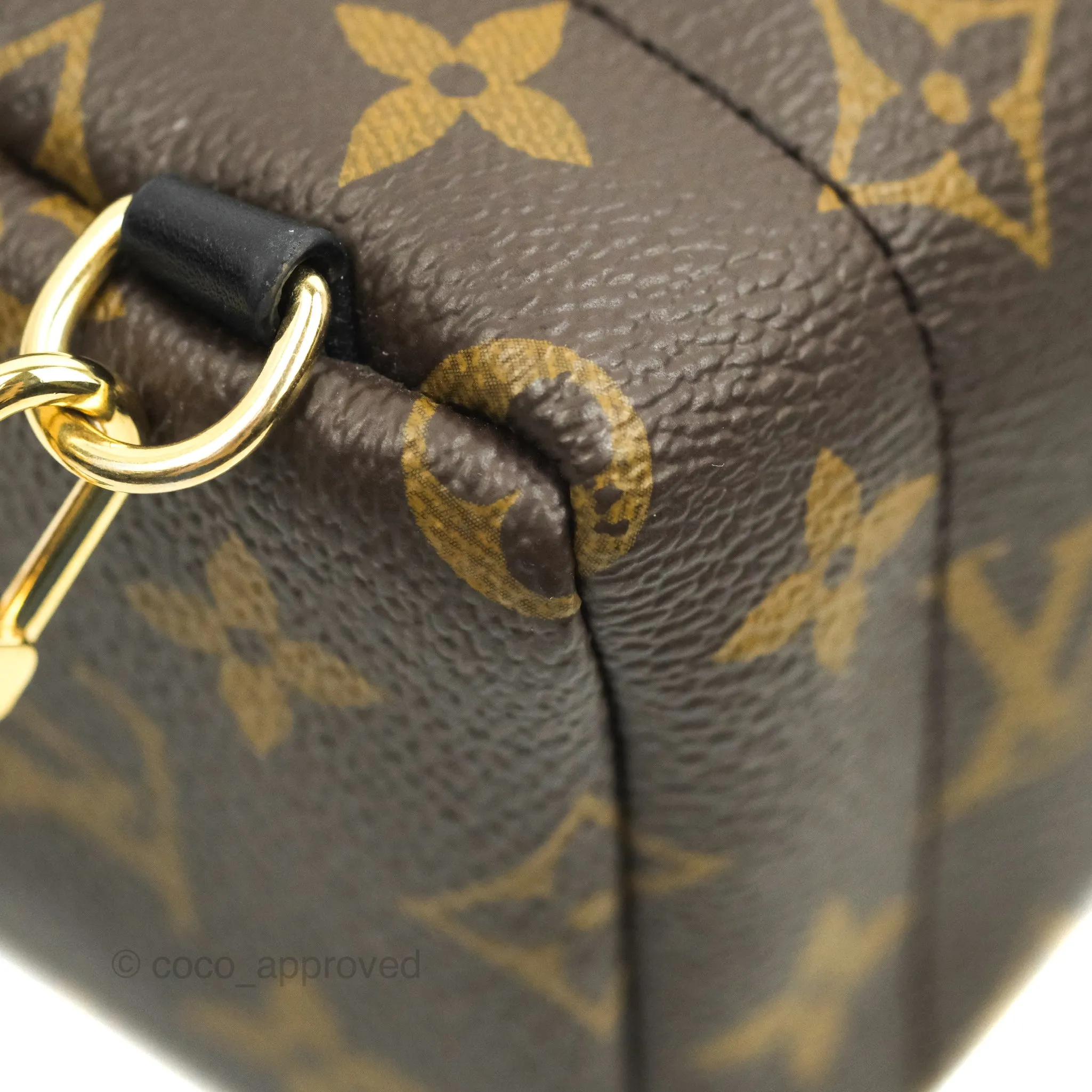 Louis Vuitton Monogram Mini Palm Springs Backpack
