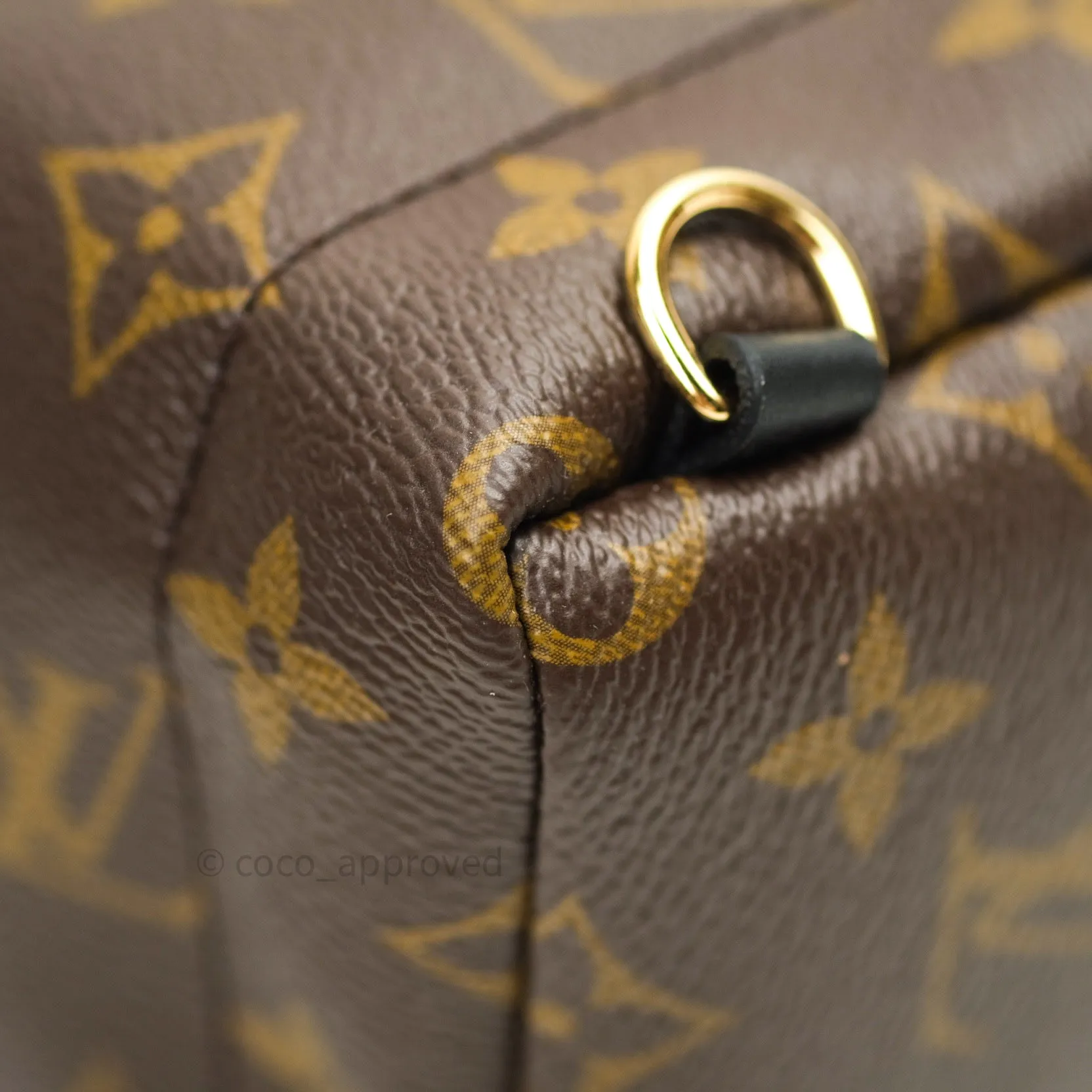 Louis Vuitton Monogram Mini Palm Springs Backpack