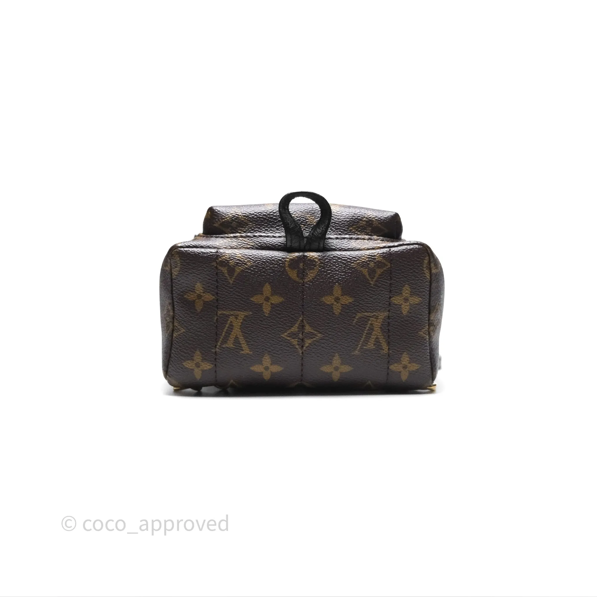 Louis Vuitton Monogram Mini Palm Springs Backpack
