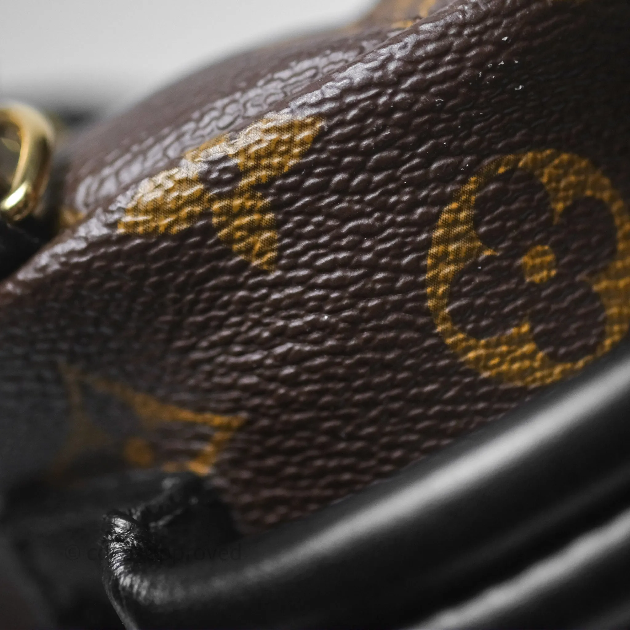 Louis Vuitton Monogram Mini Palm Springs Backpack