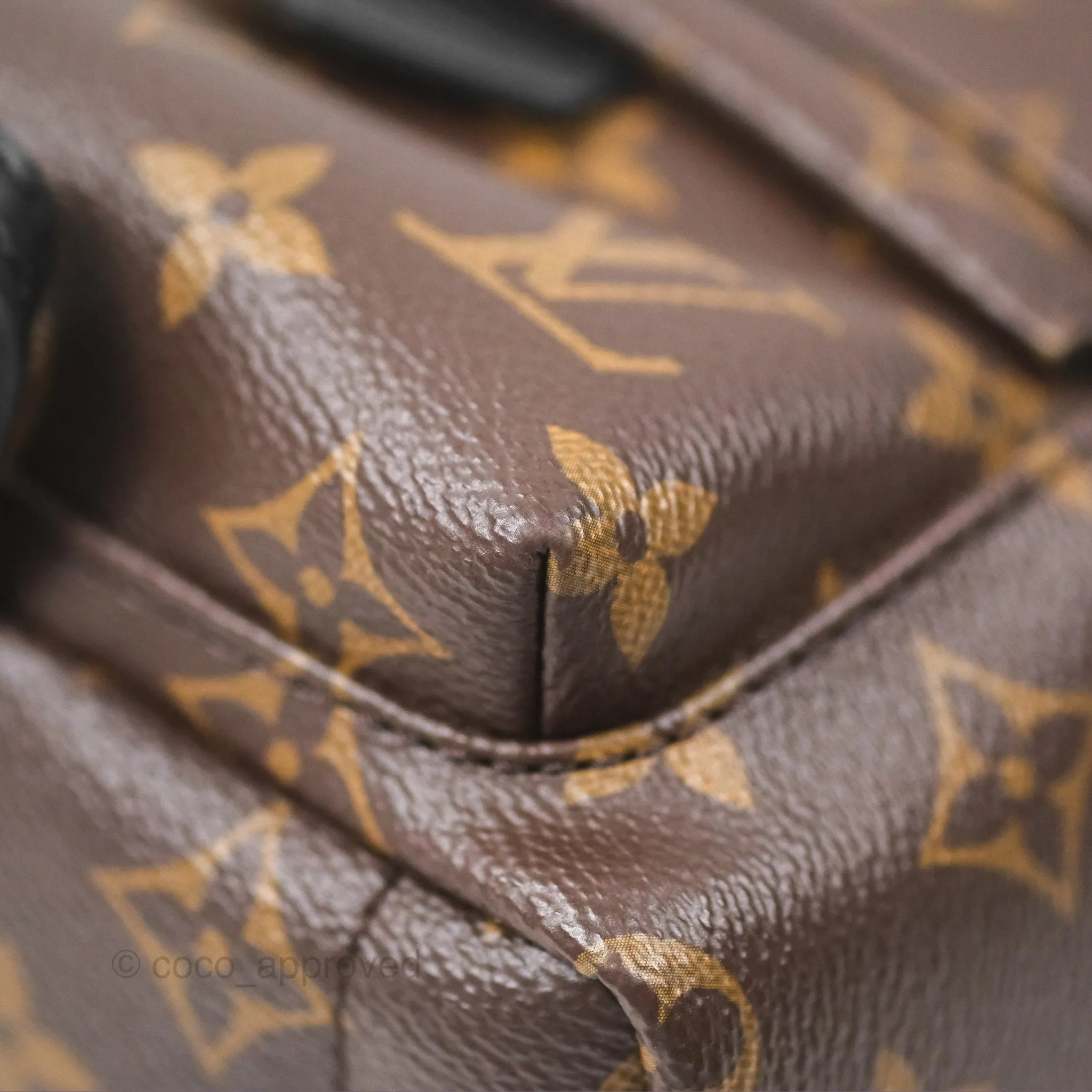 Louis Vuitton Monogram Mini Palm Springs Backpack