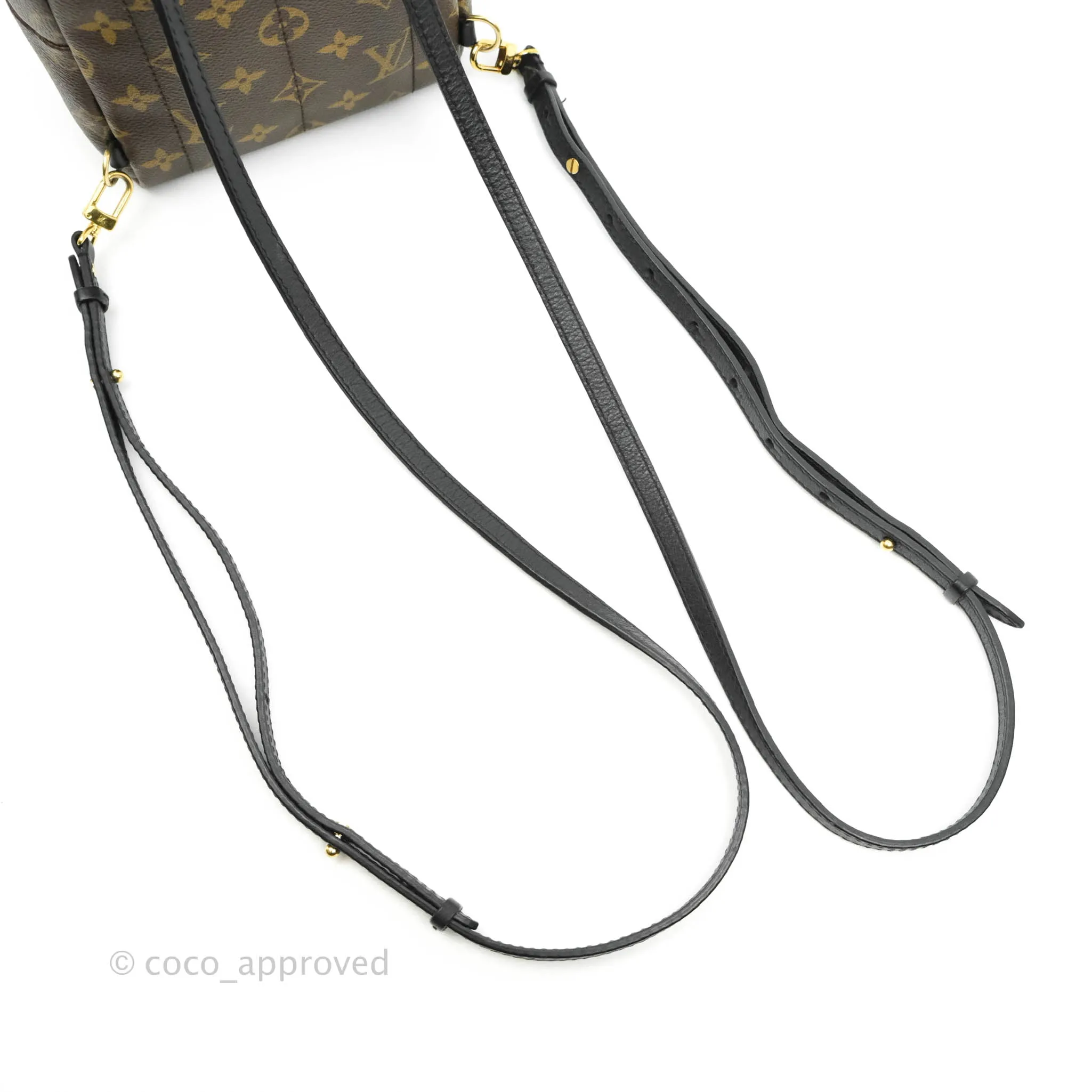 Louis Vuitton Monogram Mini Palm Springs Backpack