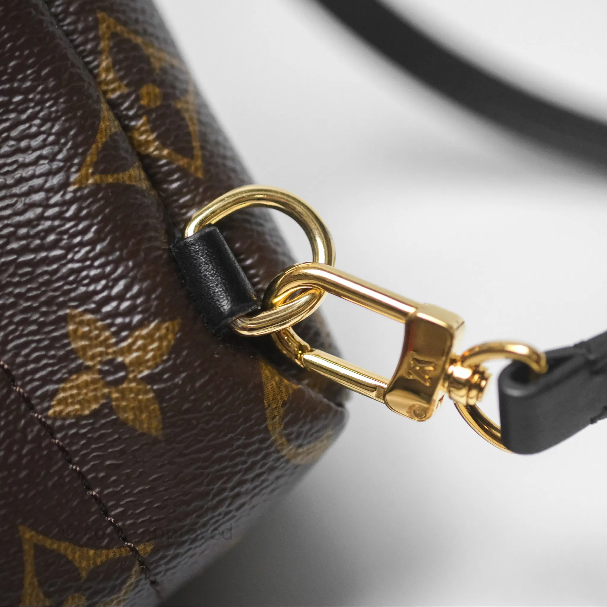 Louis Vuitton Monogram Mini Palm Springs Backpack