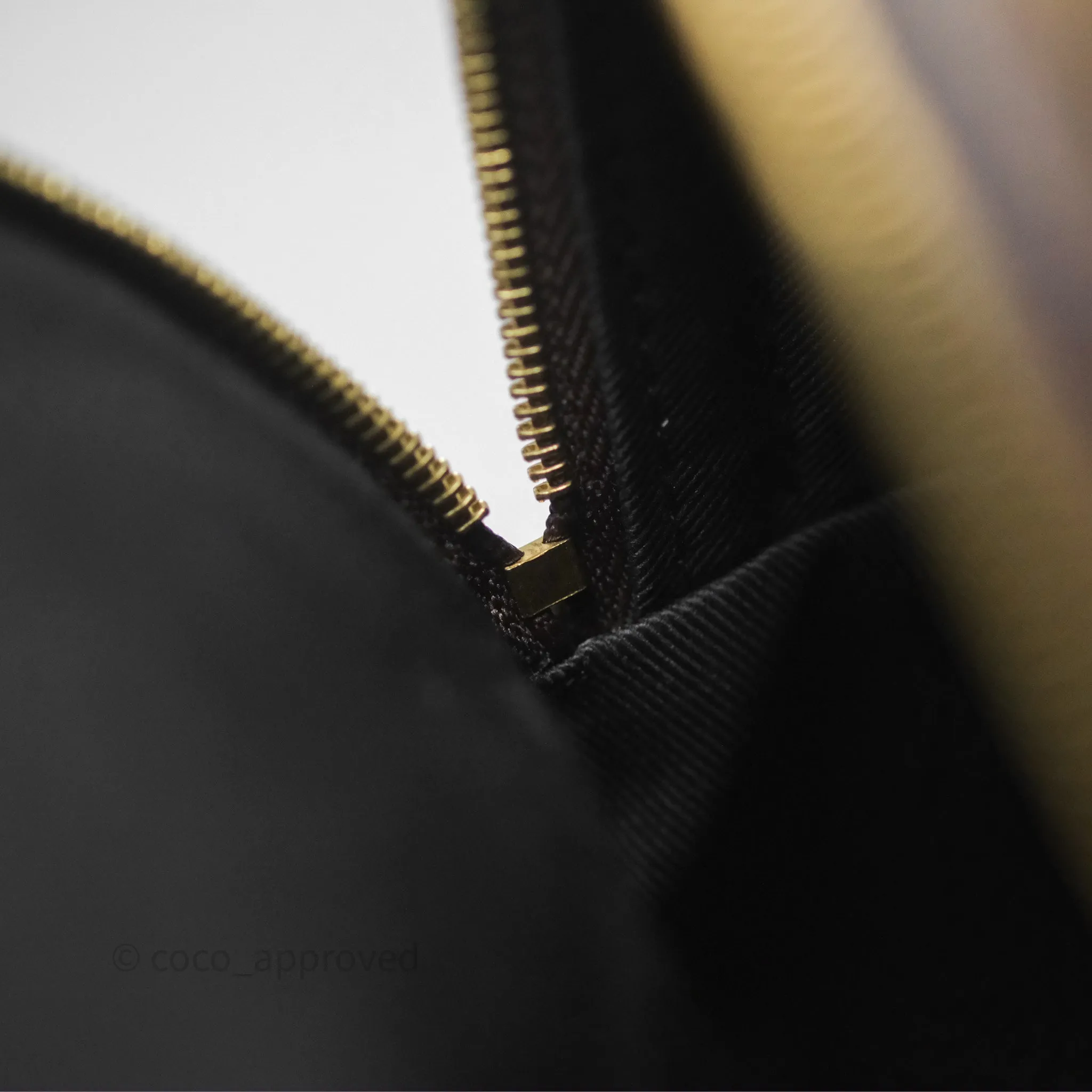 Louis Vuitton Monogram Mini Palm Springs Backpack
