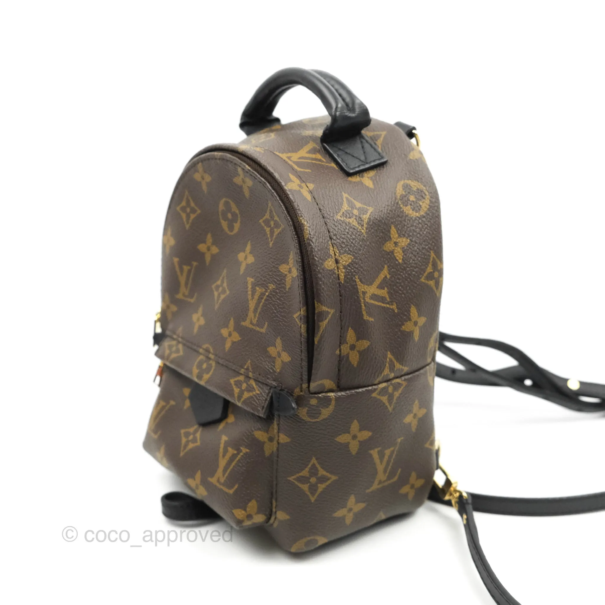 Louis Vuitton Monogram Mini Palm Springs Backpack