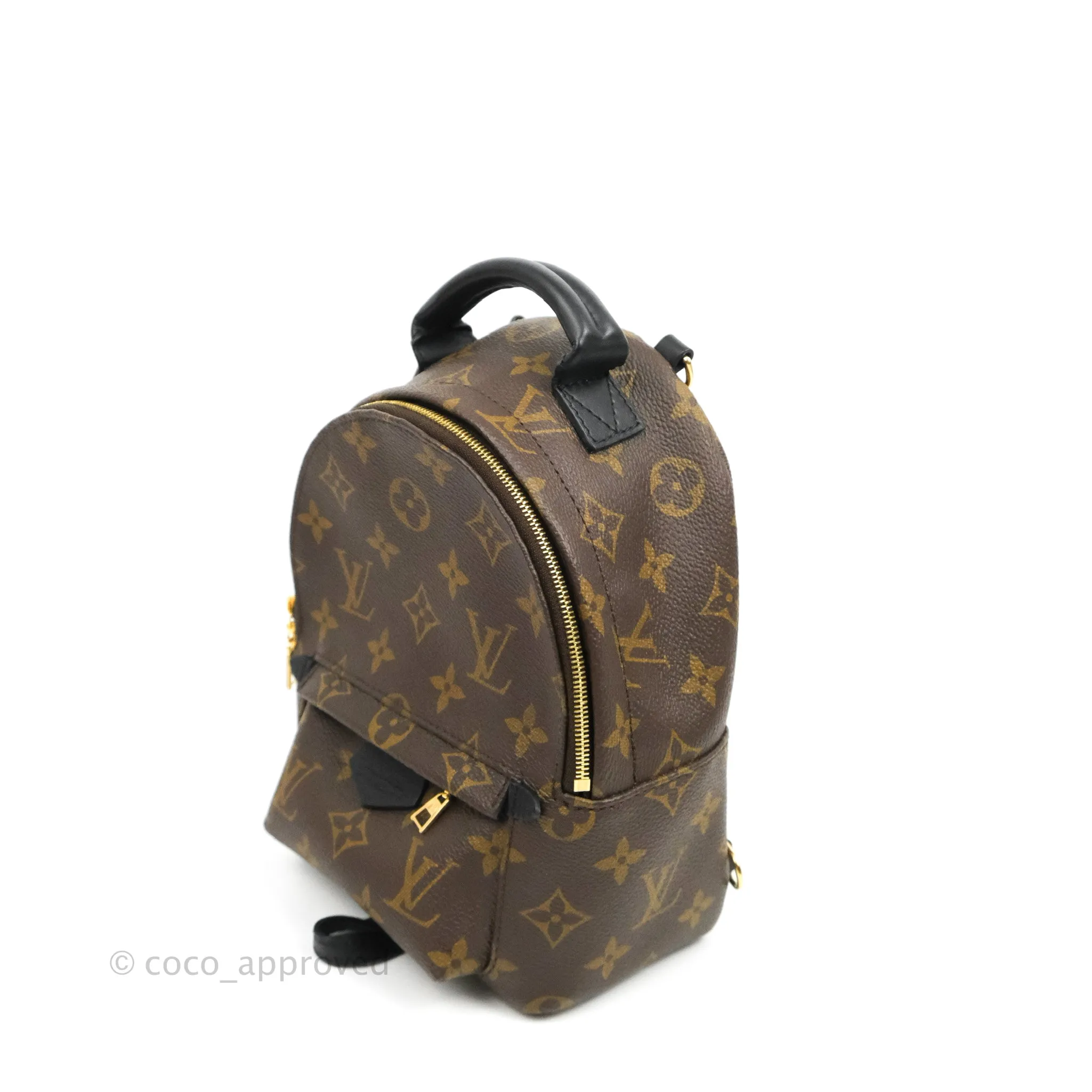 Louis Vuitton Monogram Mini Palm Springs Backpack