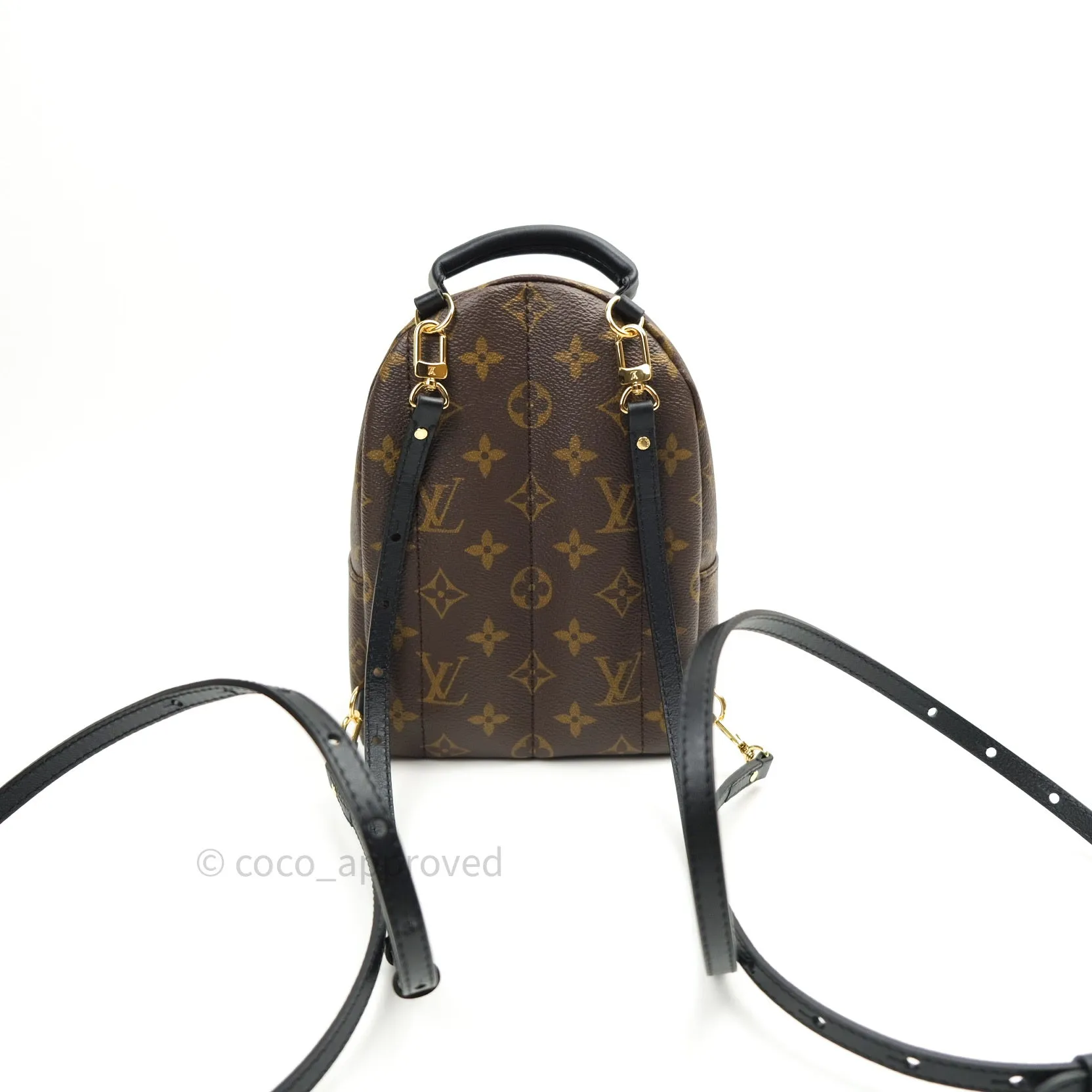 Louis Vuitton Monogram Mini Palm Springs Backpack