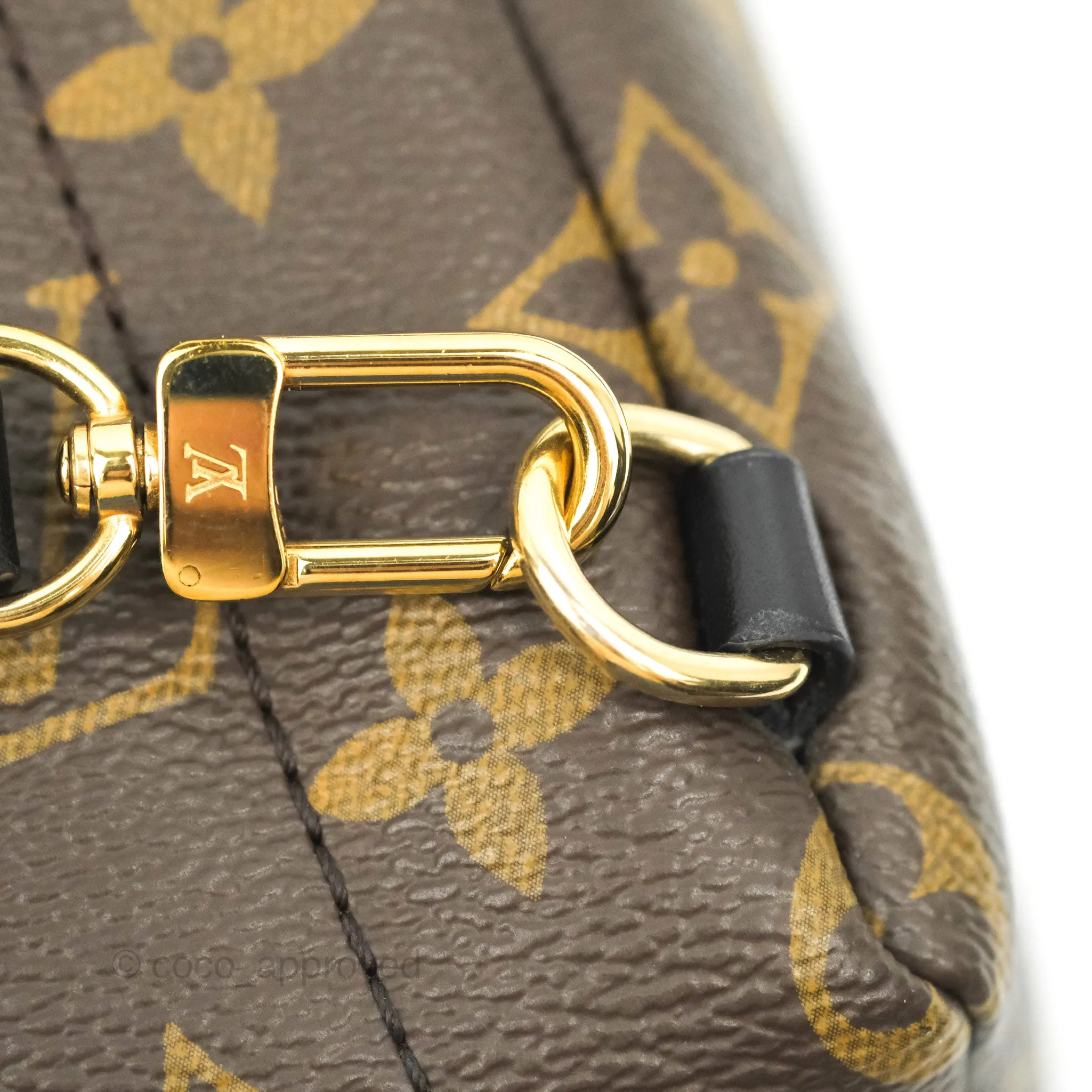 Louis Vuitton Monogram Mini Palm Springs Backpack