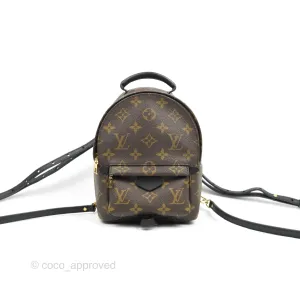 Louis Vuitton Monogram Mini Palm Springs Backpack