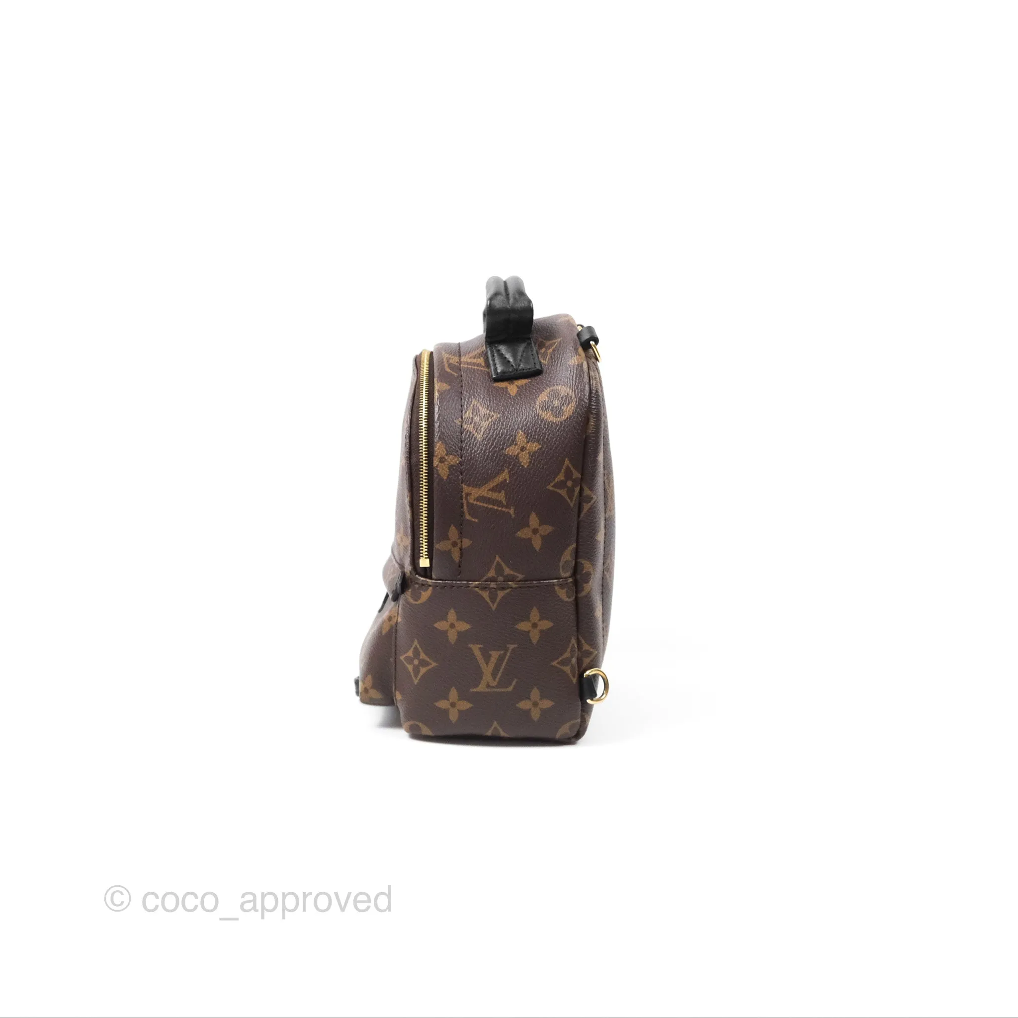 Louis Vuitton Monogram Mini Palm Springs Backpack