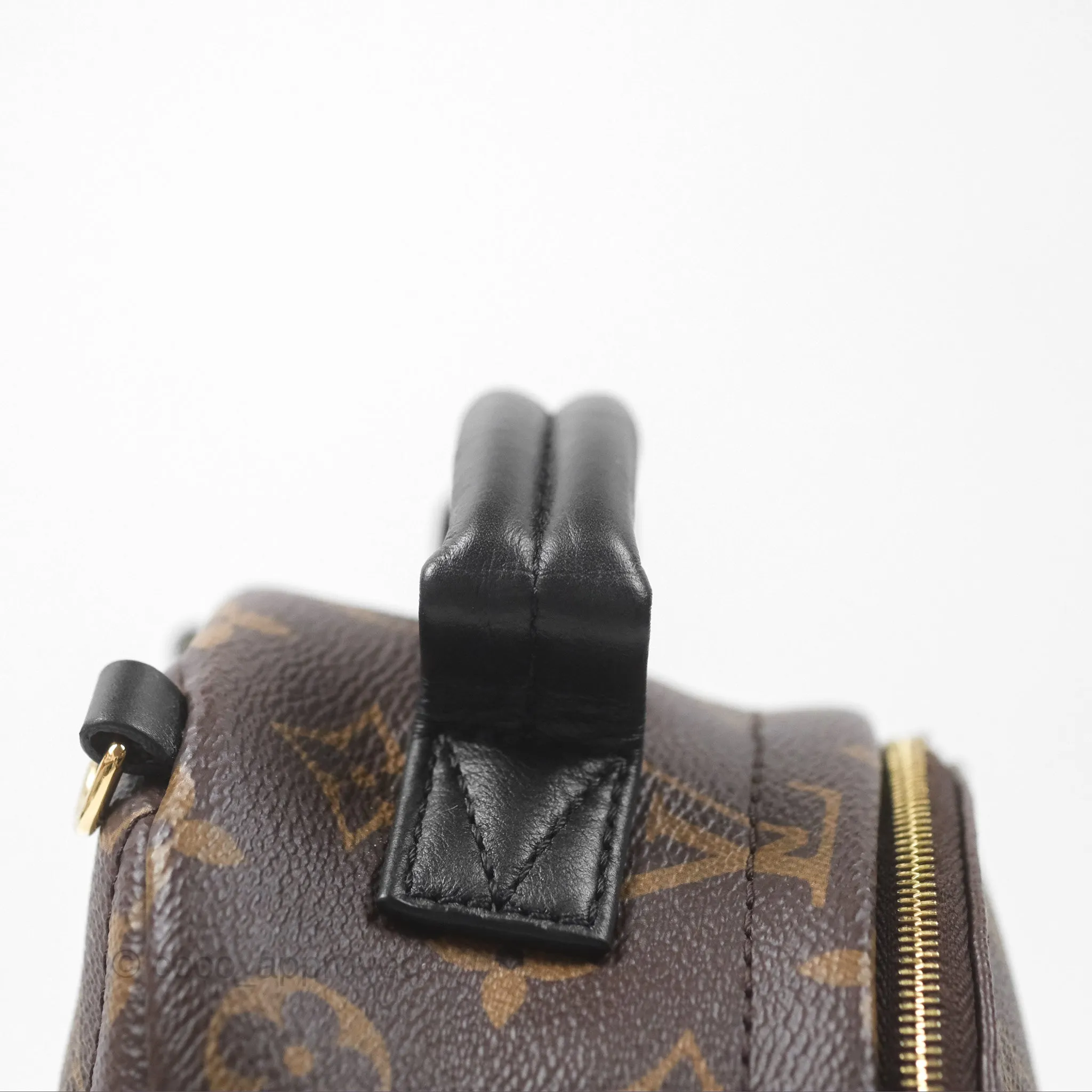 Louis Vuitton Monogram Mini Palm Springs Backpack