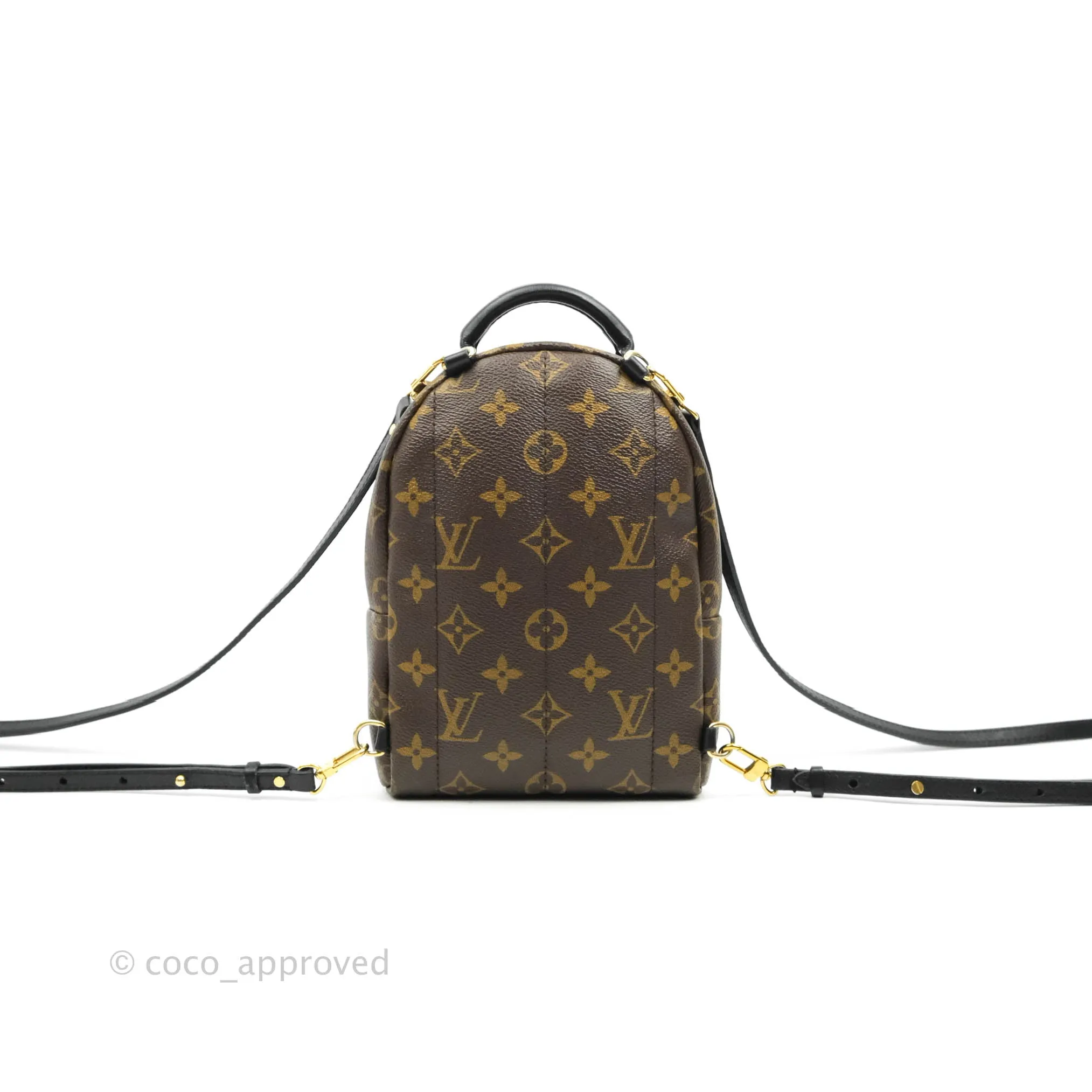 Louis Vuitton Monogram Mini Palm Springs Backpack