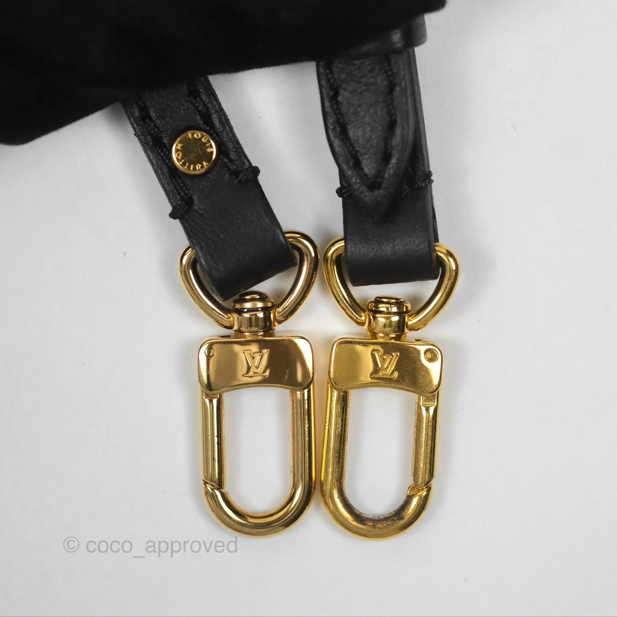 Louis Vuitton Monogram Mini Palm Springs Backpack