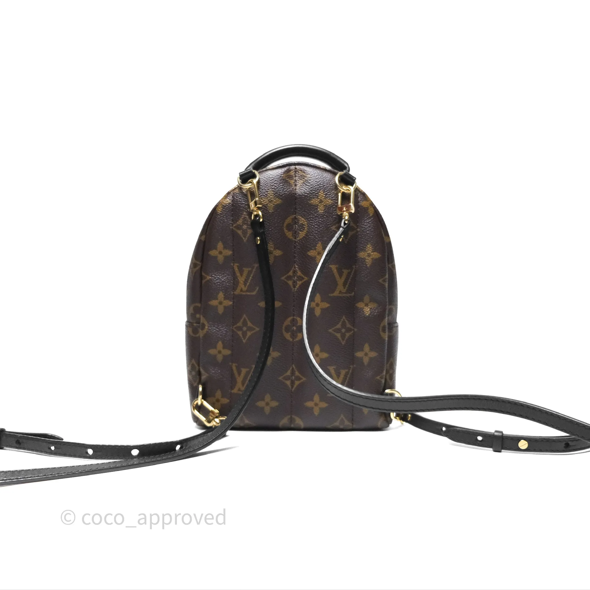 Louis Vuitton Monogram Mini Palm Springs Backpack