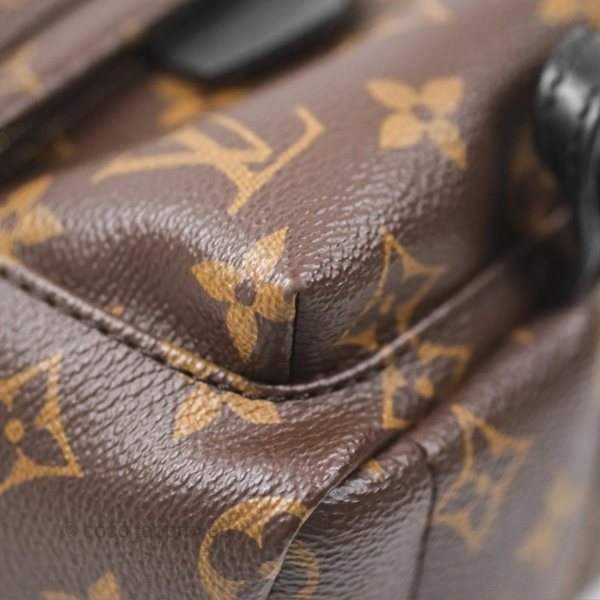 Louis Vuitton Monogram Mini Palm Springs Backpack
