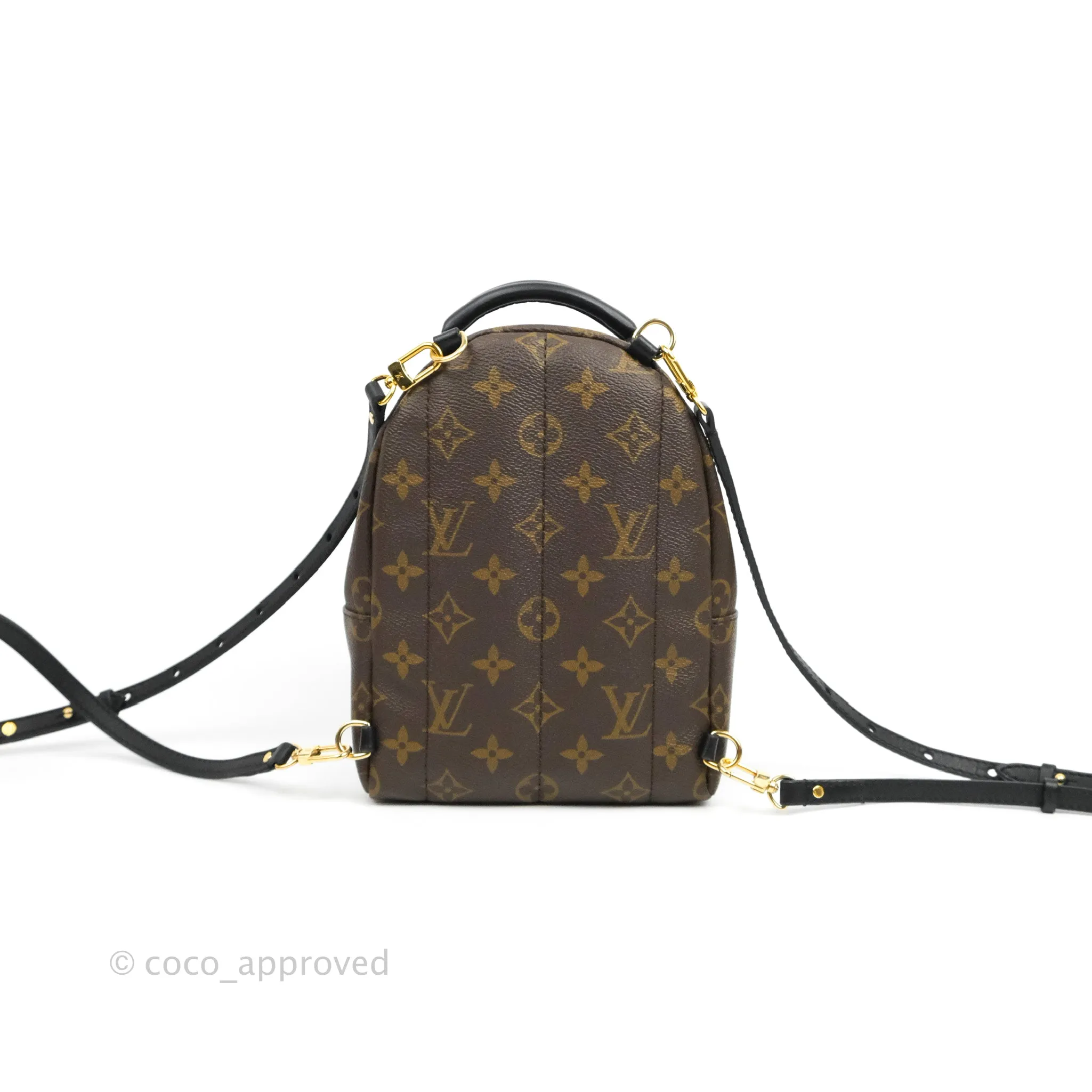 Louis Vuitton Monogram Mini Palm Springs Backpack