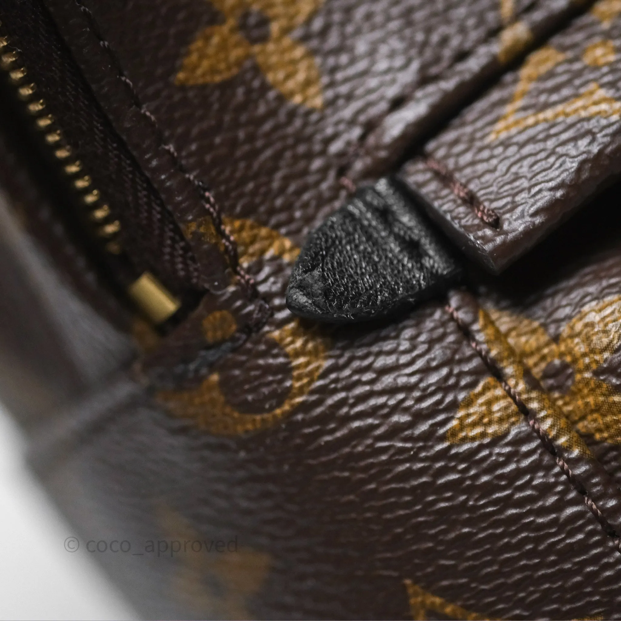 Louis Vuitton Monogram Mini Palm Springs Backpack