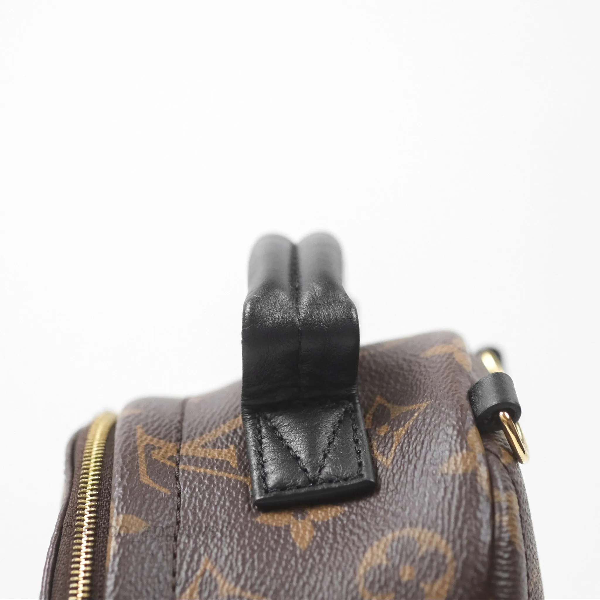Louis Vuitton Monogram Mini Palm Springs Backpack