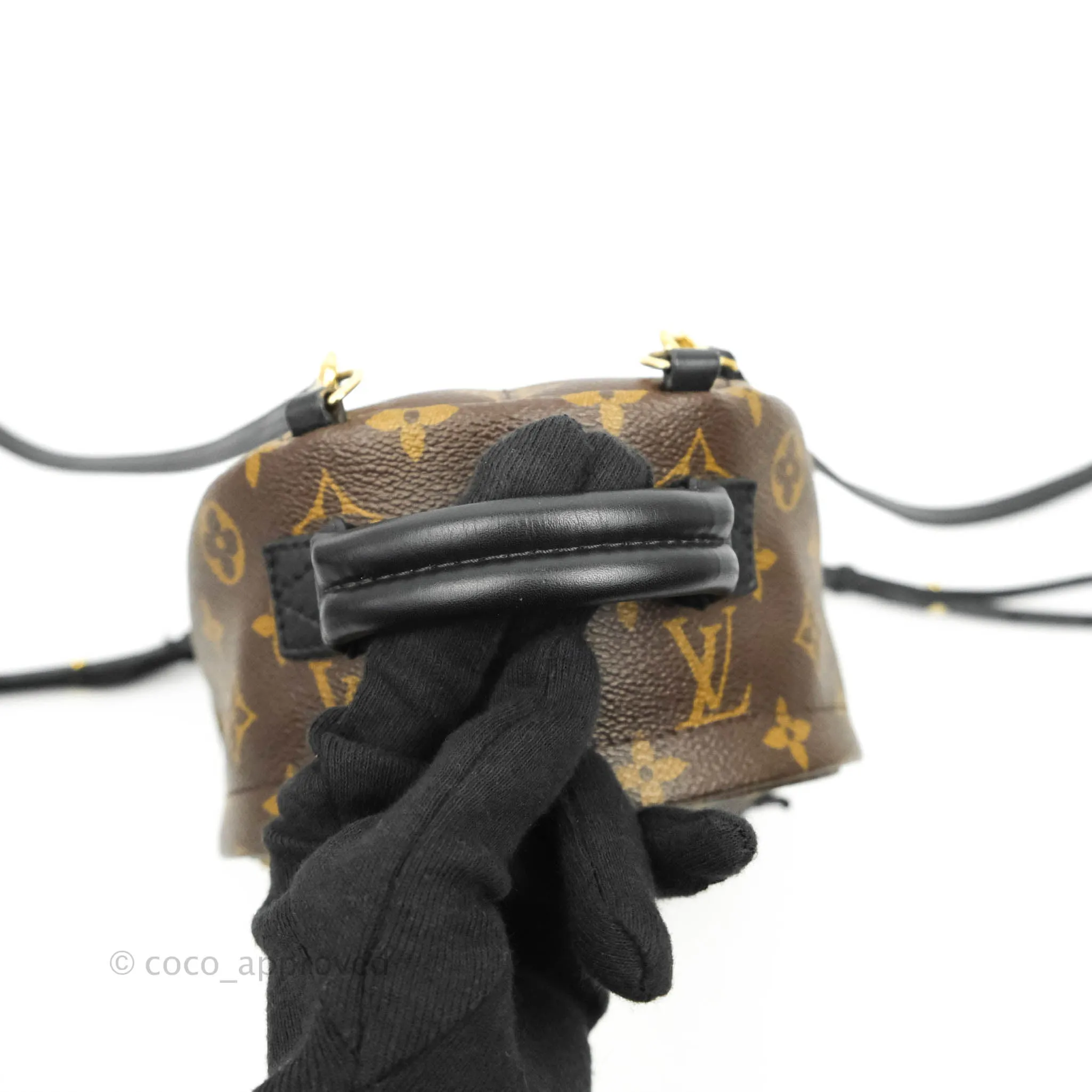 Louis Vuitton Monogram Mini Palm Springs Backpack