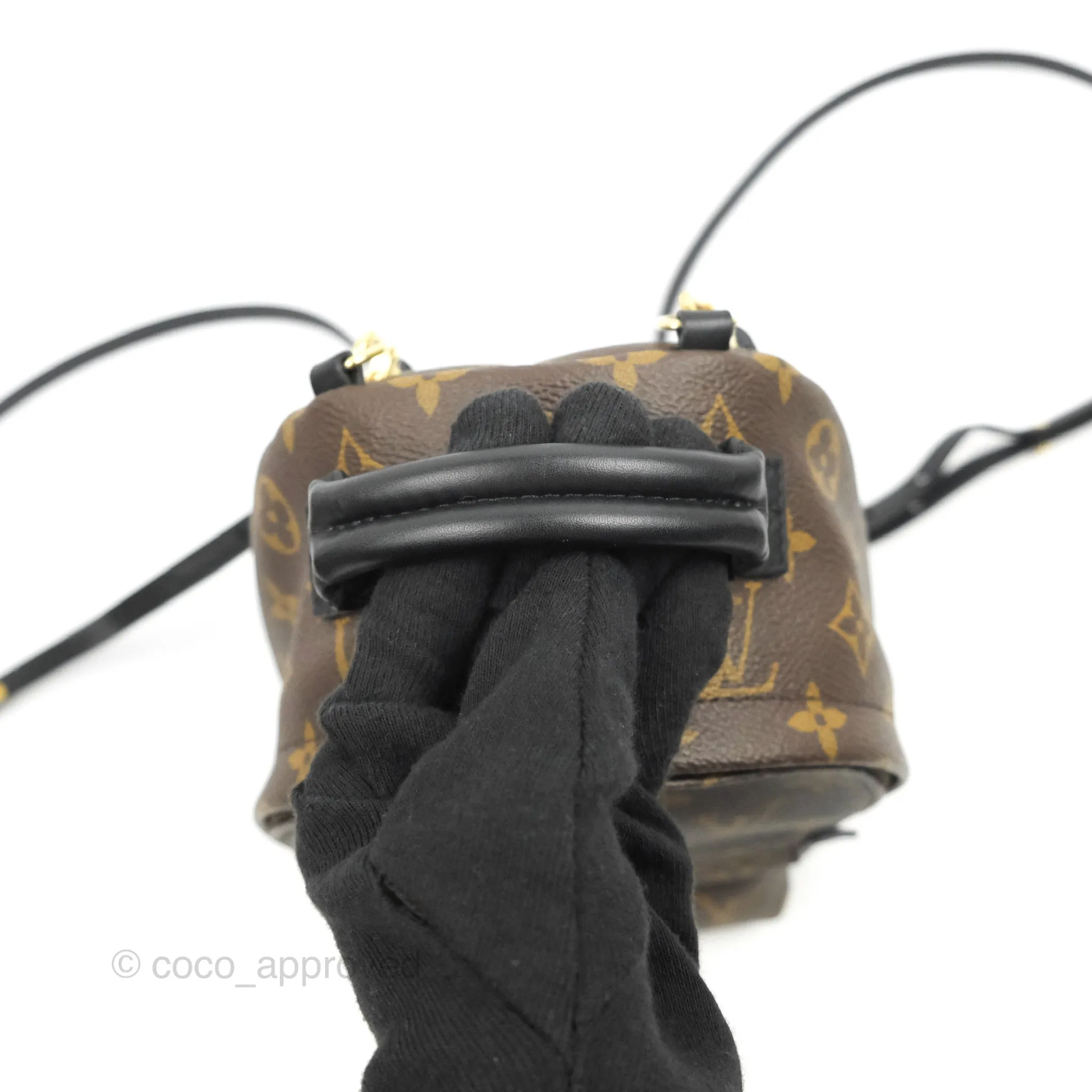 Louis Vuitton Monogram Mini Palm Springs Backpack