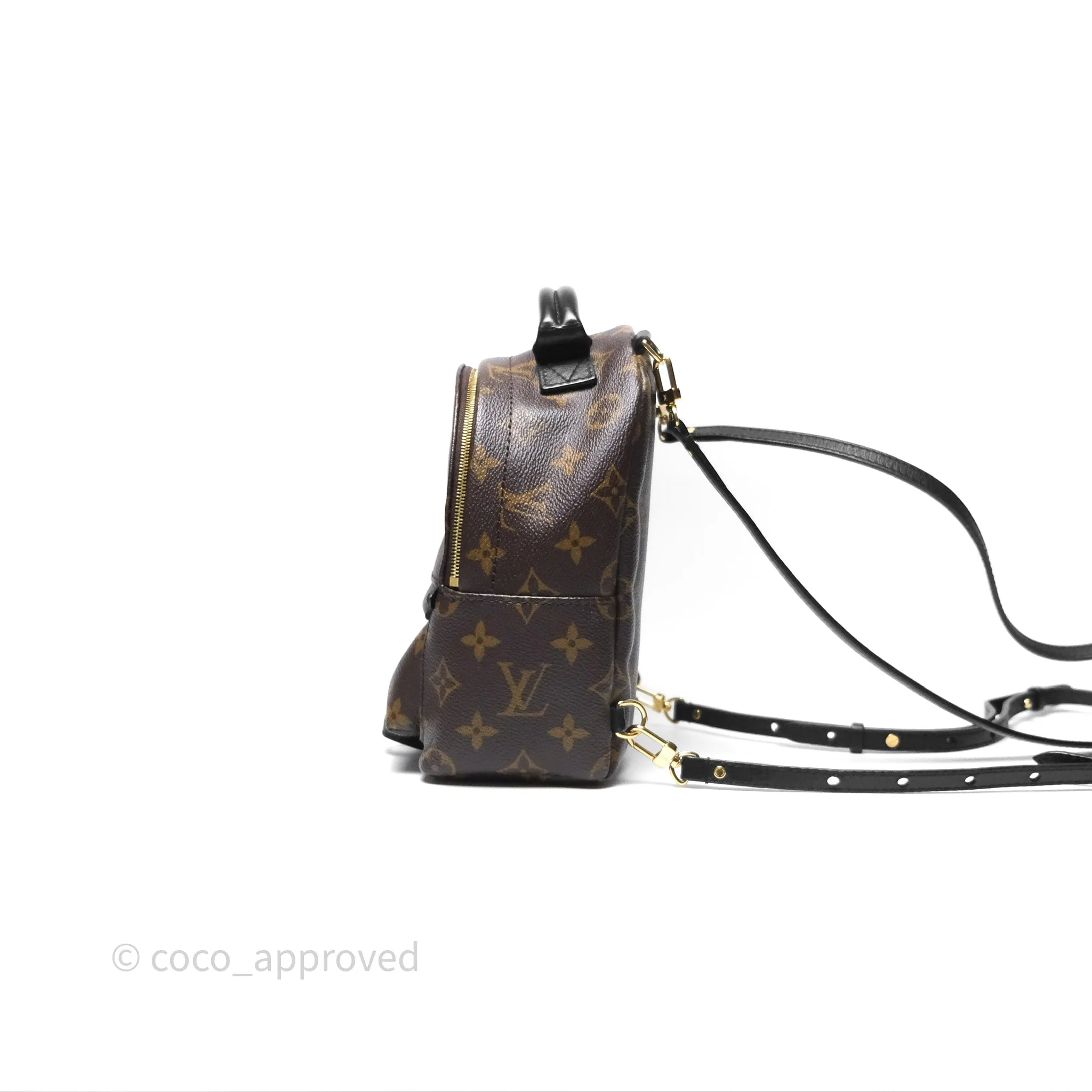 Louis Vuitton Monogram Mini Palm Springs Backpack