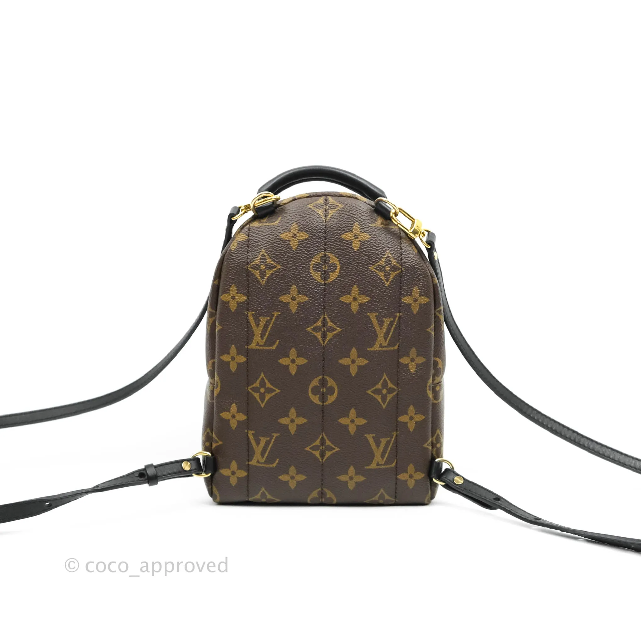 Louis Vuitton Monogram Mini Palm Springs Backpack