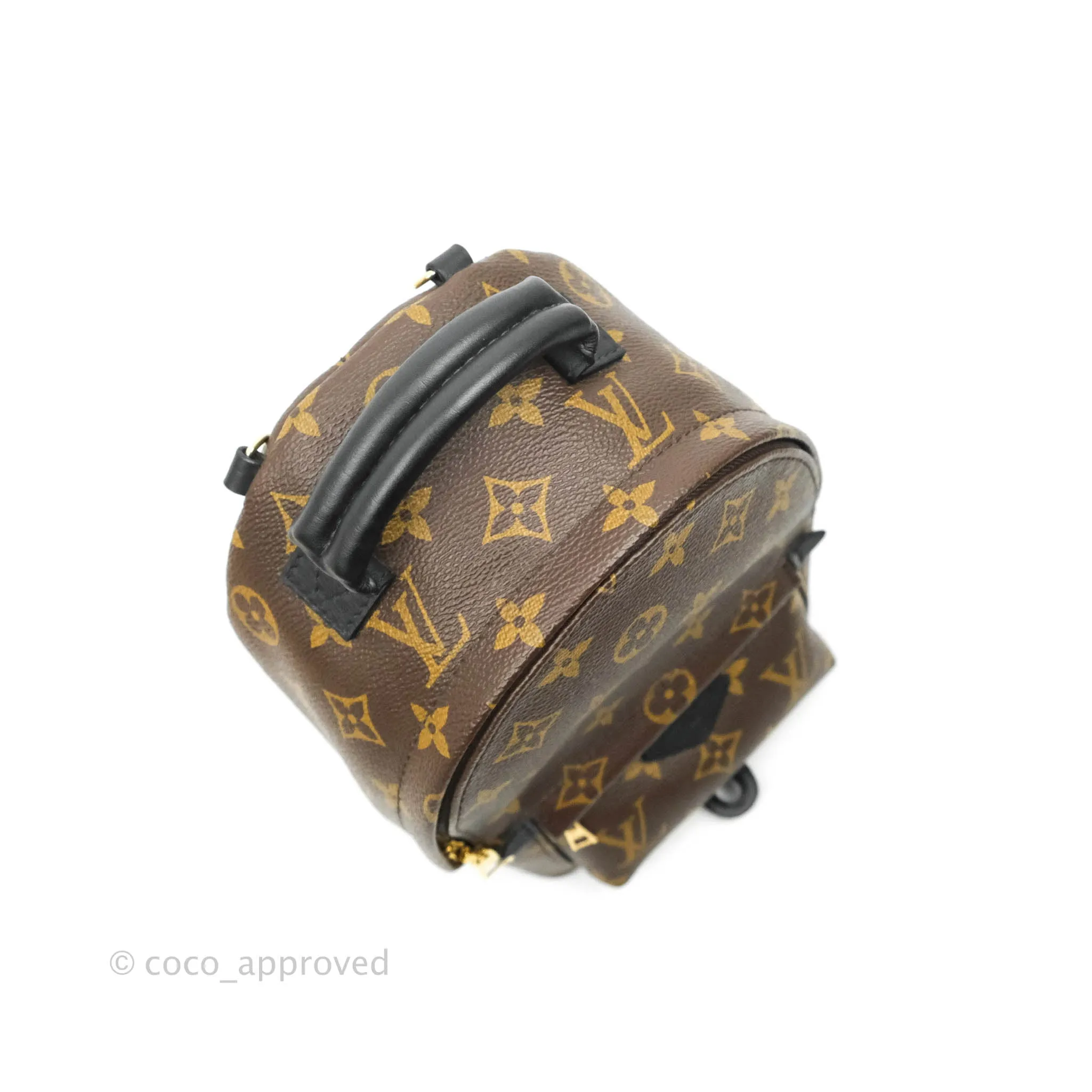 Louis Vuitton Monogram Mini Palm Springs Backpack