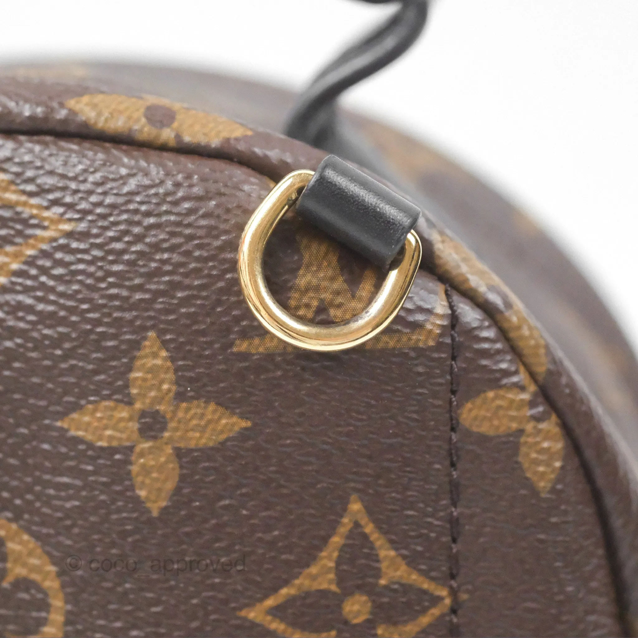 Louis Vuitton Monogram Mini Palm Springs Backpack