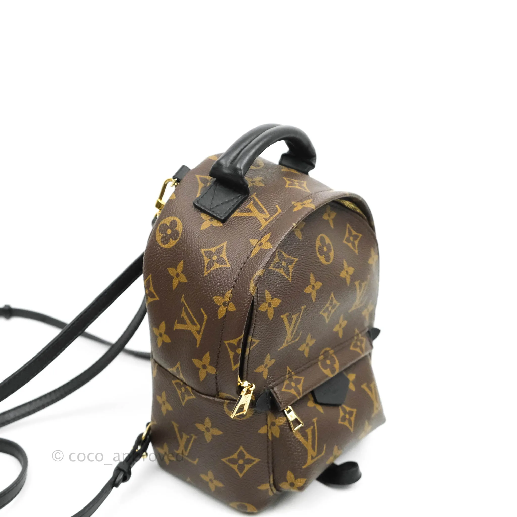 Louis Vuitton Monogram Mini Palm Springs Backpack