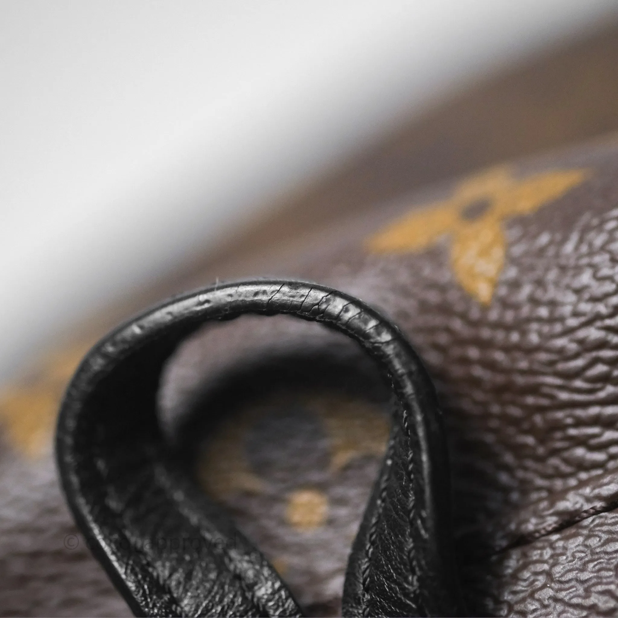 Louis Vuitton Monogram Mini Palm Springs Backpack