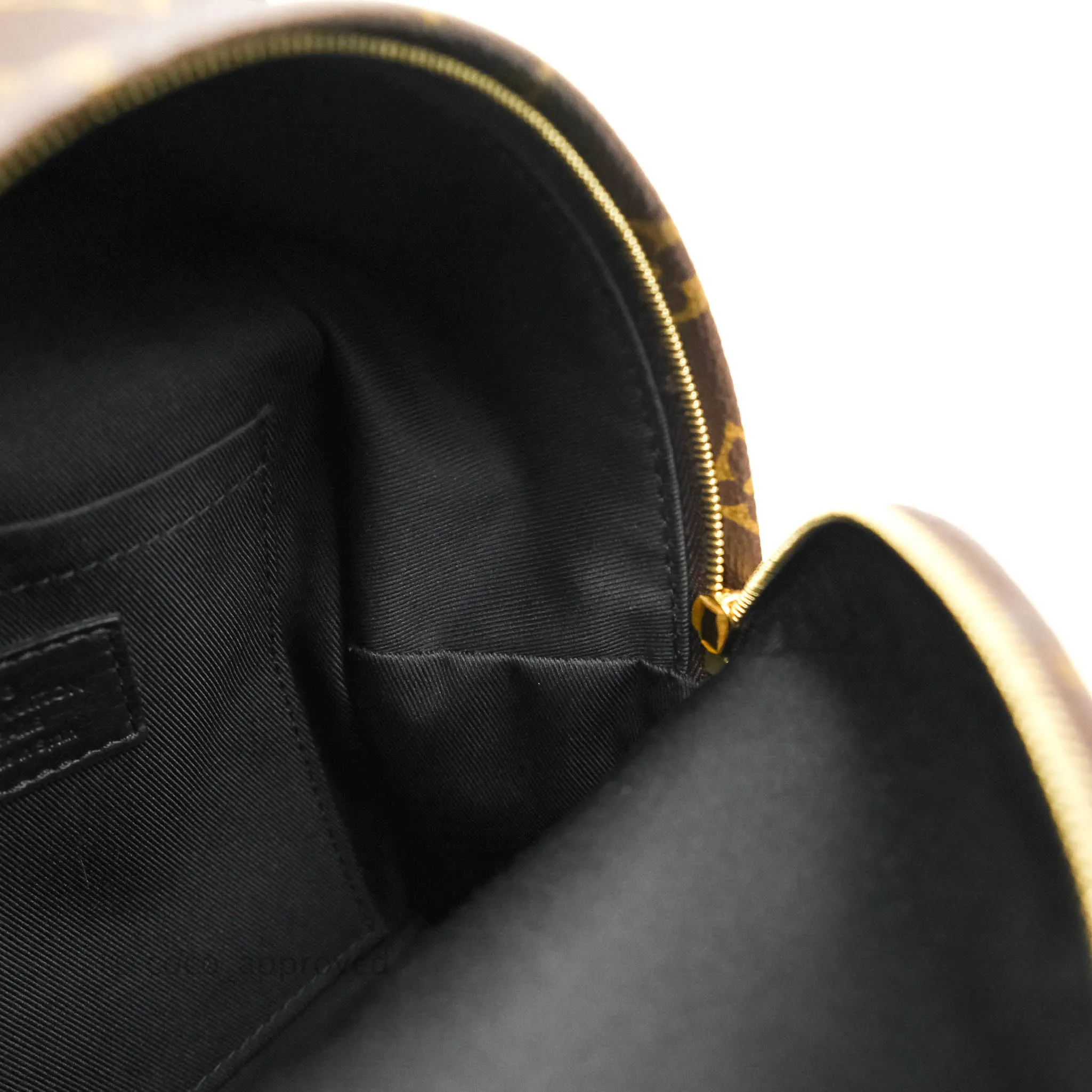 Louis Vuitton Monogram Mini Palm Springs Backpack
