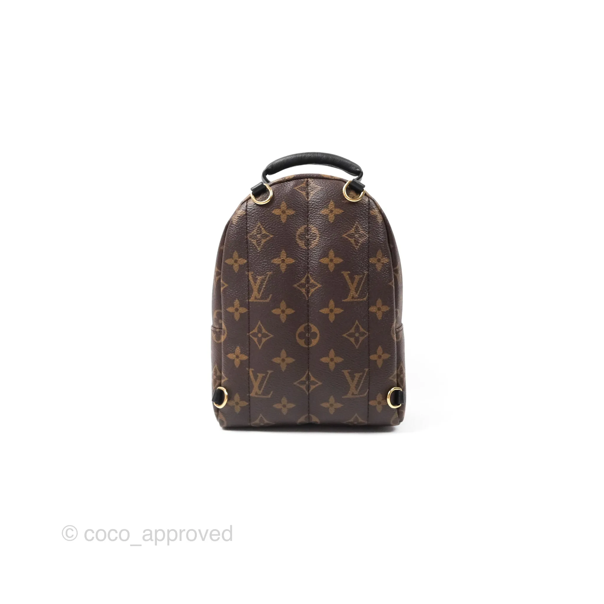 Louis Vuitton Monogram Mini Palm Springs Backpack