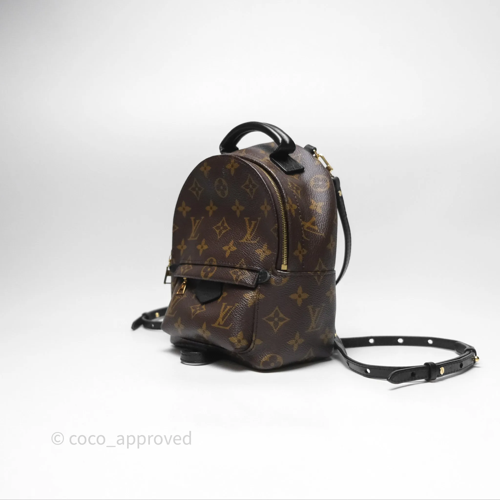 Louis Vuitton Monogram Mini Palm Springs Backpack