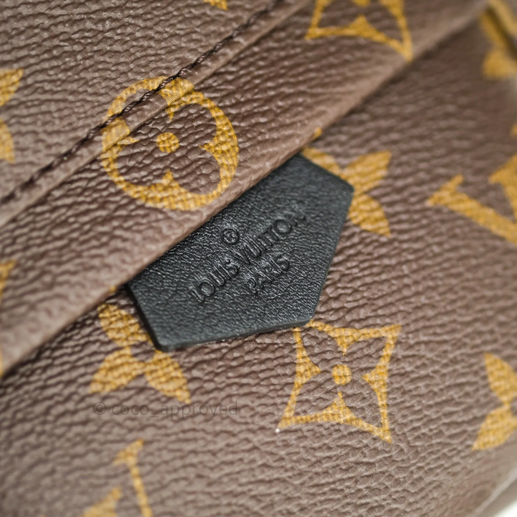 Louis Vuitton Monogram Mini Palm Springs Backpack