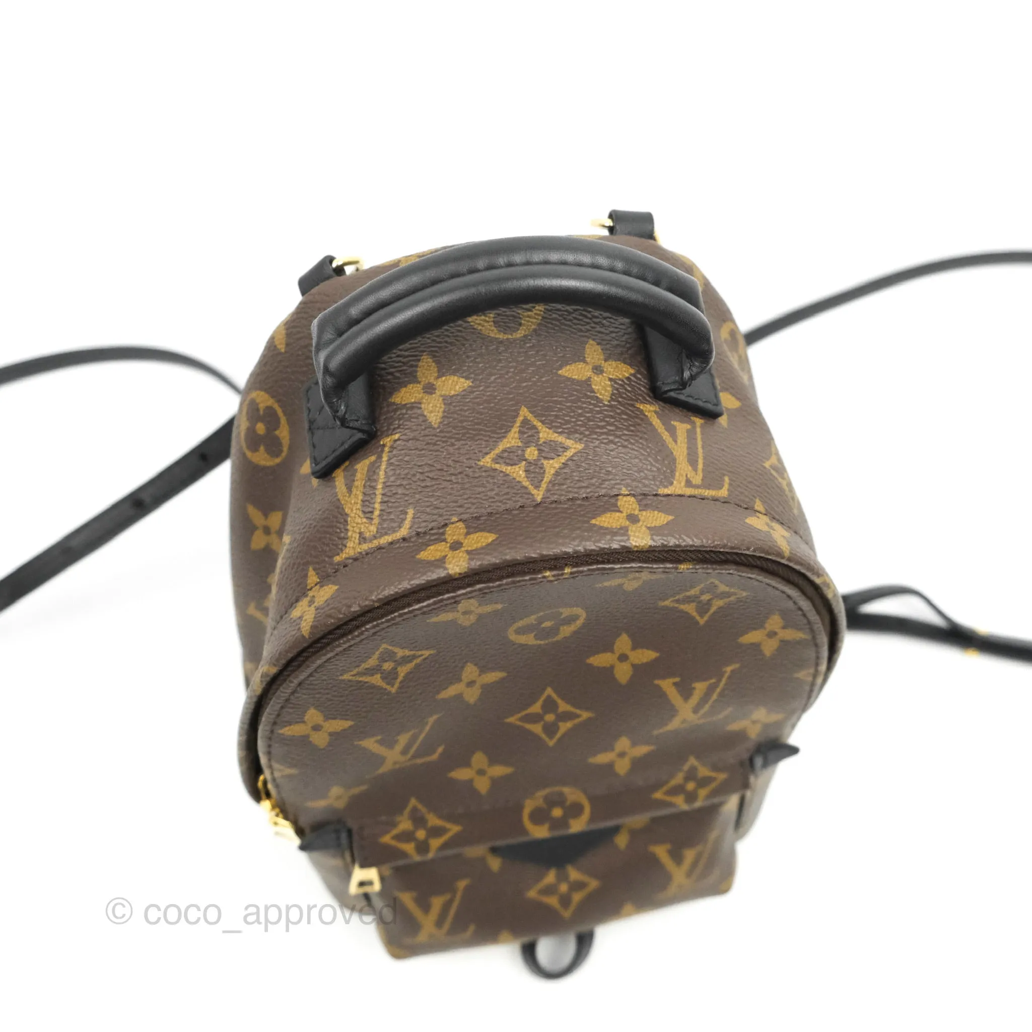 Louis Vuitton Monogram Mini Palm Springs Backpack
