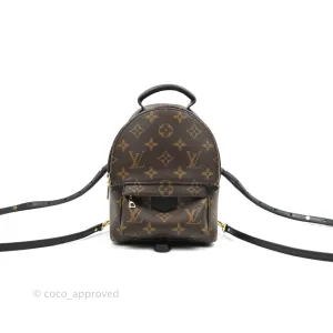 Louis Vuitton Monogram Mini Palm Springs Backpack