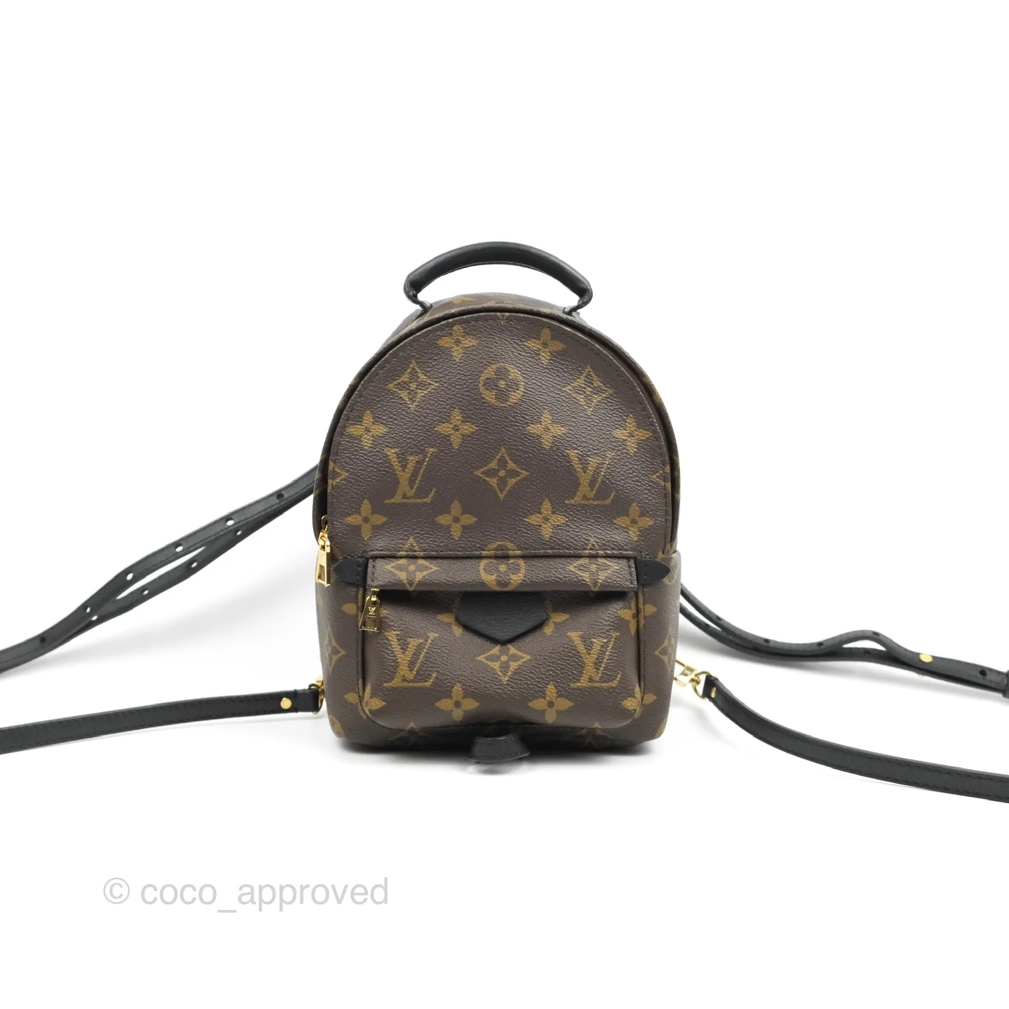 Louis Vuitton Monogram Mini Palm Springs Backpack