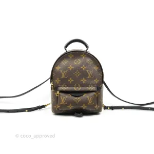Louis Vuitton Monogram Mini Palm Springs Backpack