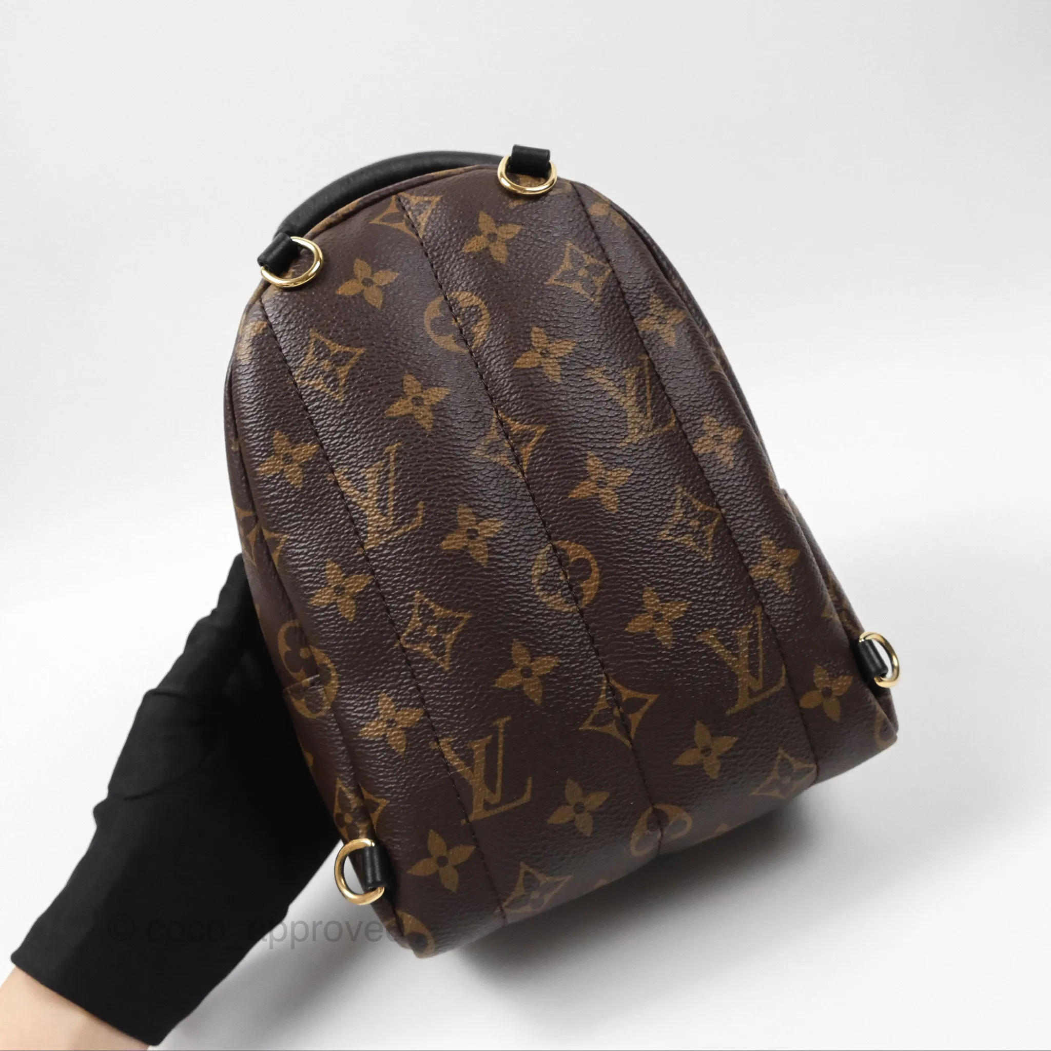 Louis Vuitton Monogram Mini Palm Springs Backpack