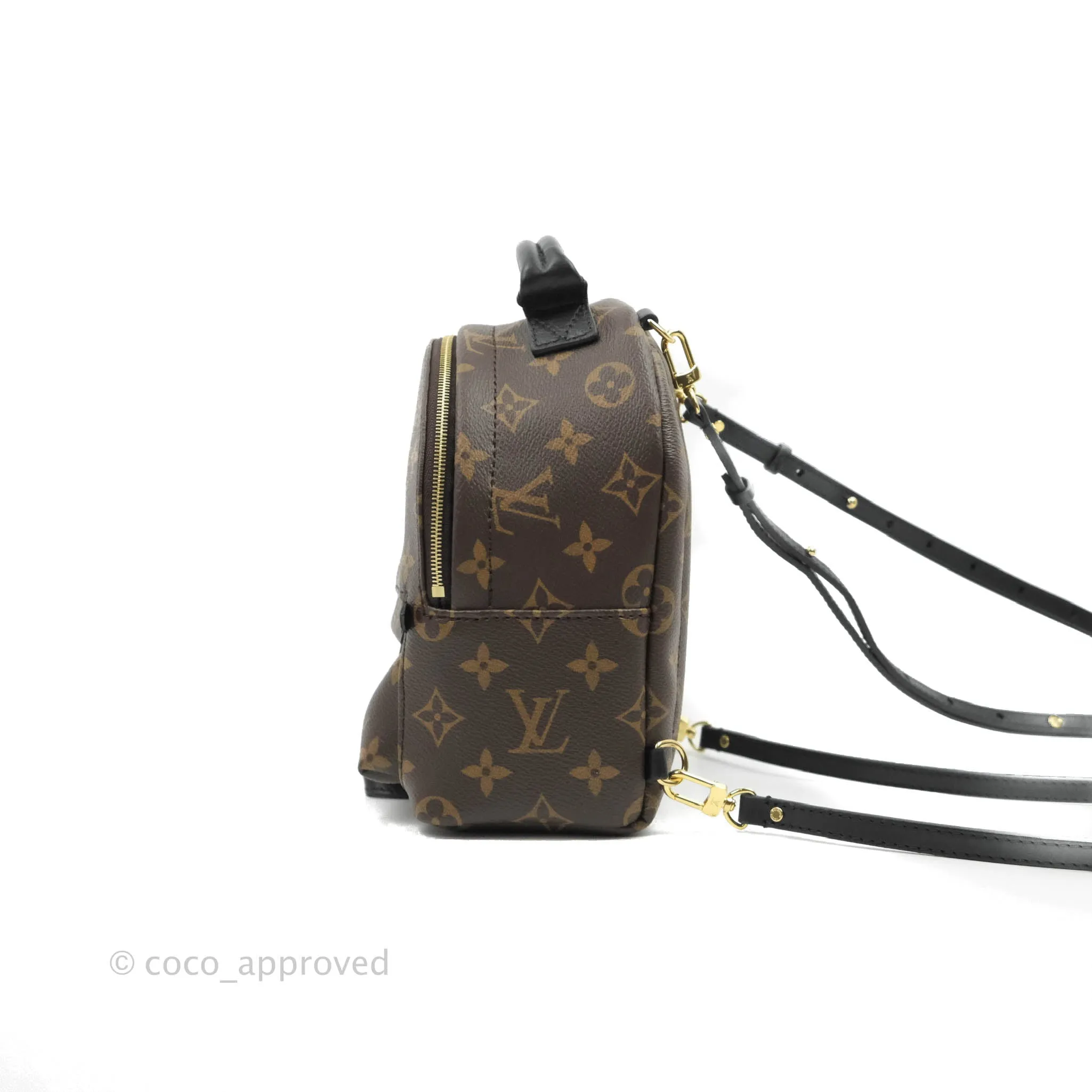 Louis Vuitton Monogram Mini Palm Springs Backpack