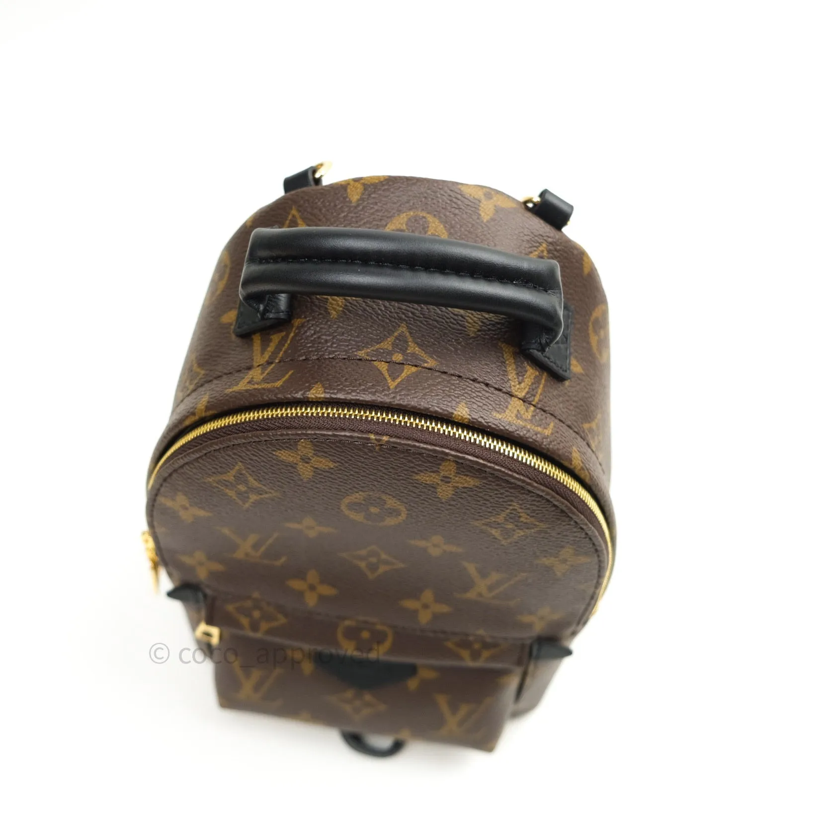 Louis Vuitton Monogram Mini Palm Springs Backpack