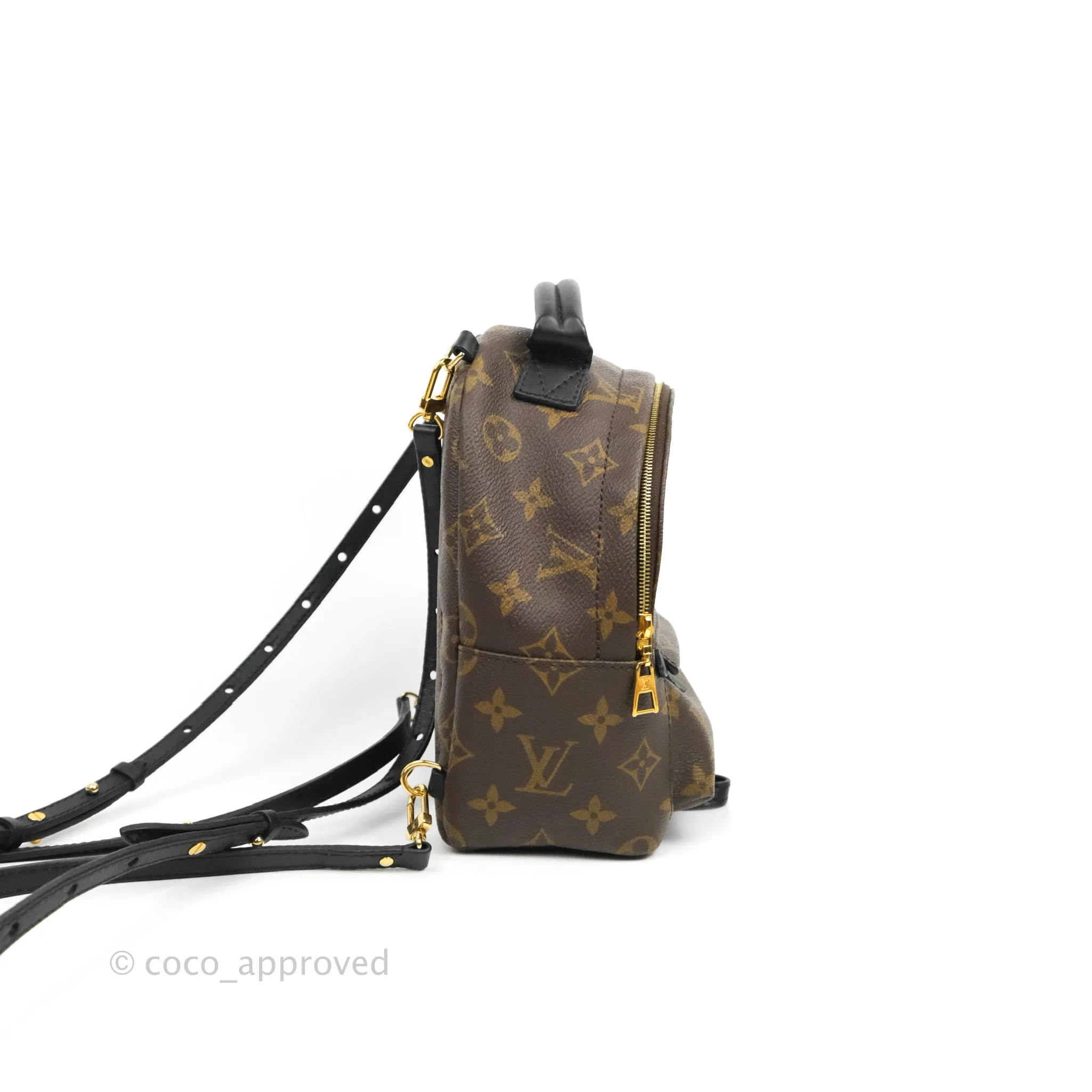 Louis Vuitton Monogram Mini Palm Springs Backpack